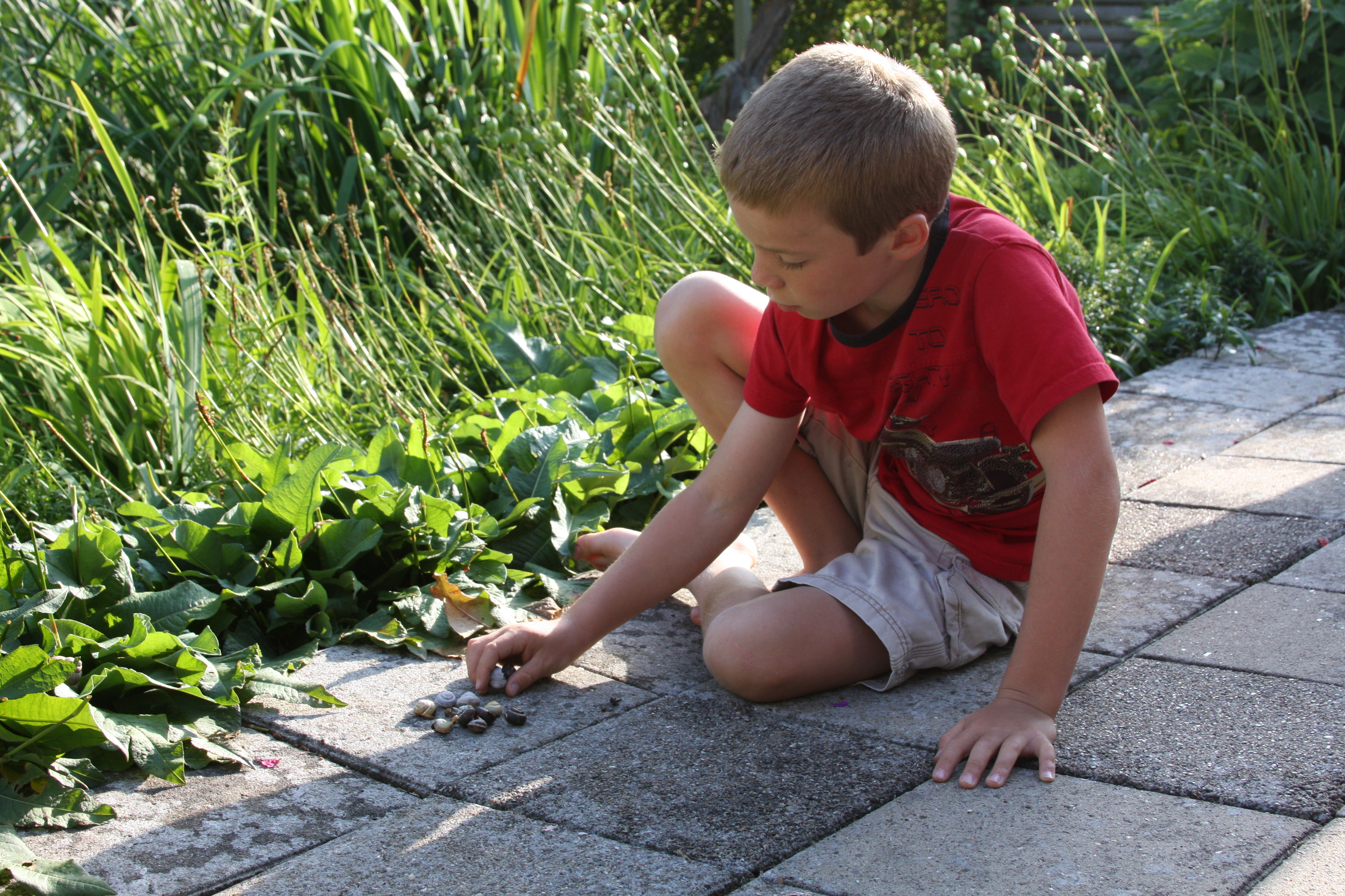 Summer, Denmark 2010 063