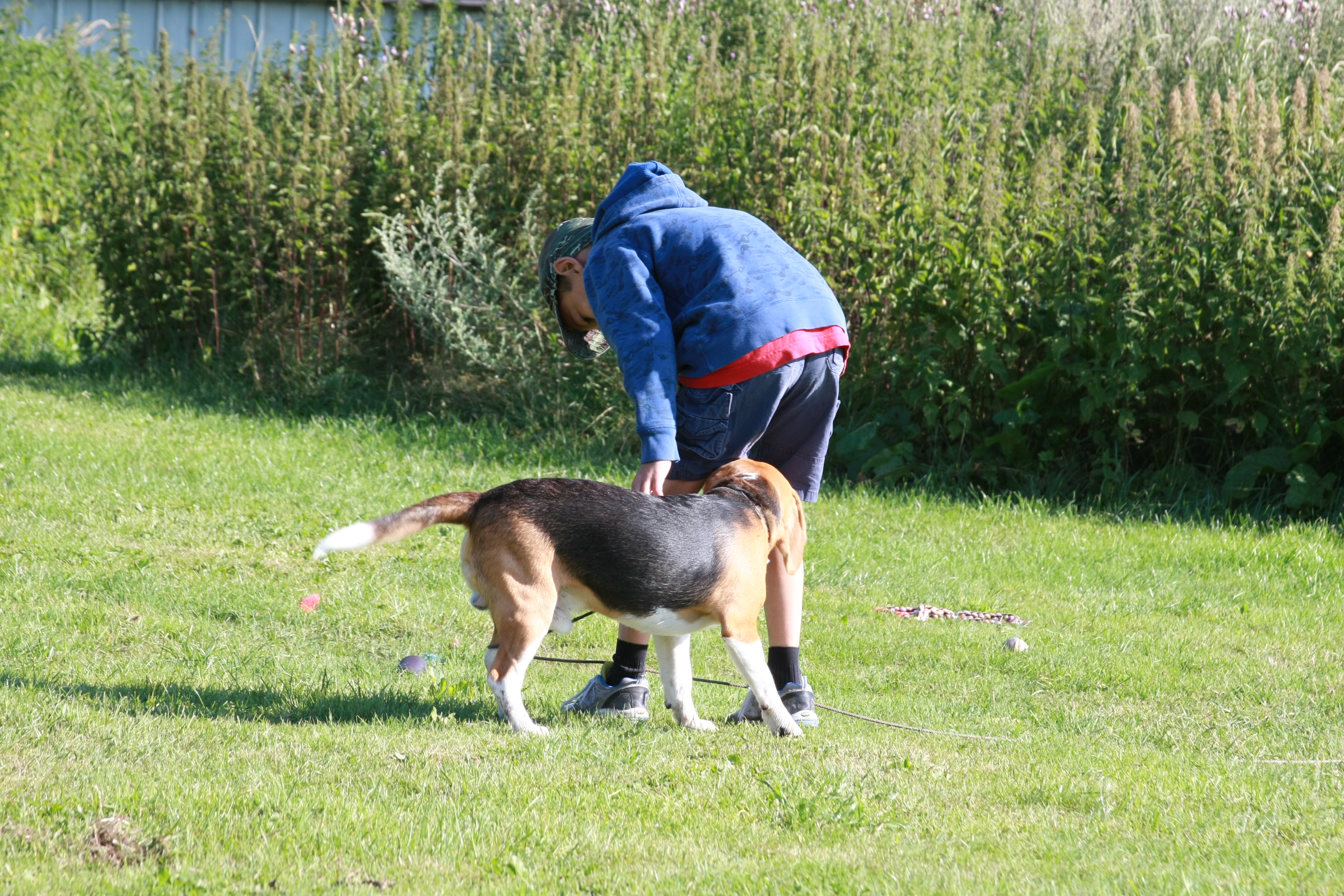 Summer, Denmark 2010 090