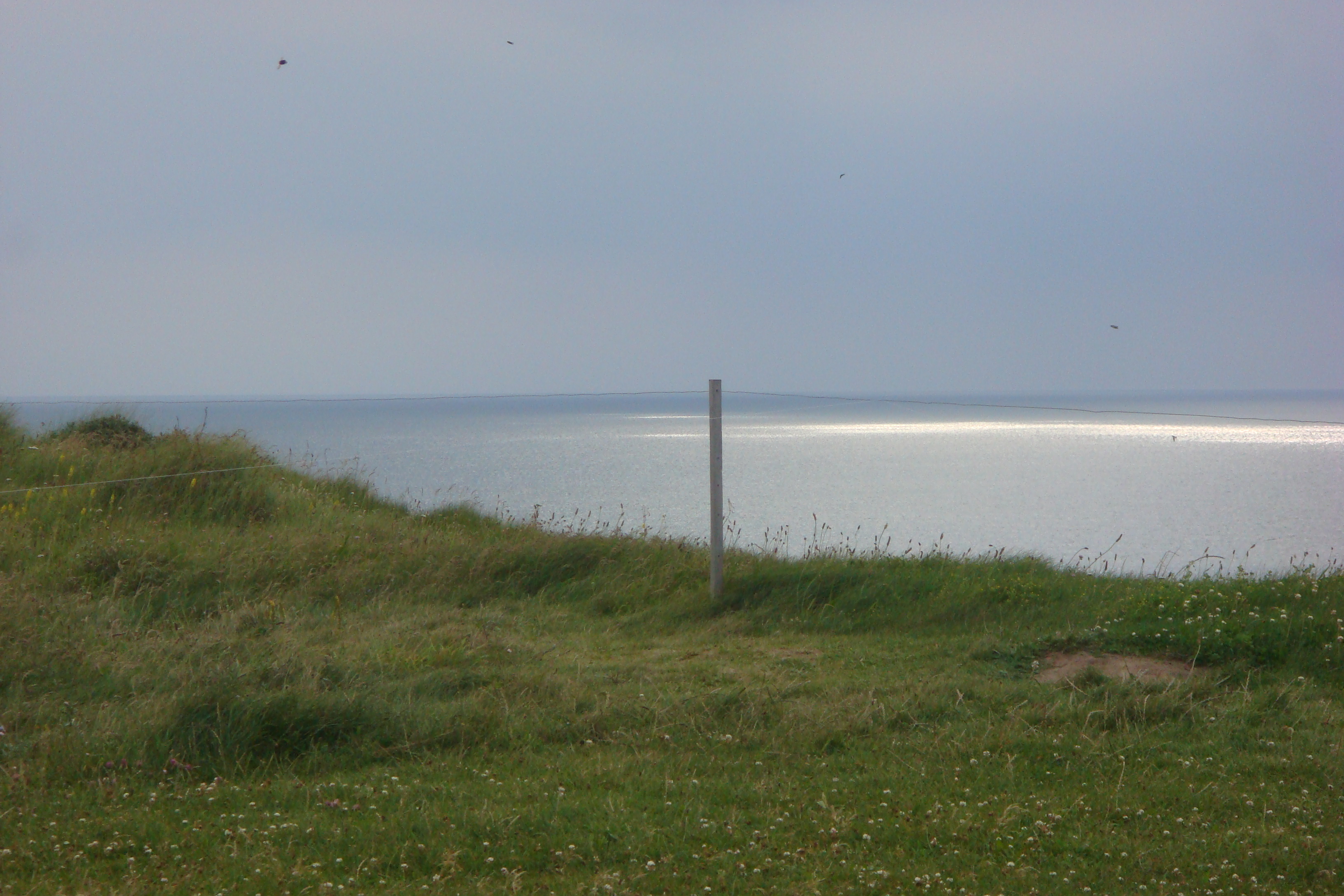 DSC05033