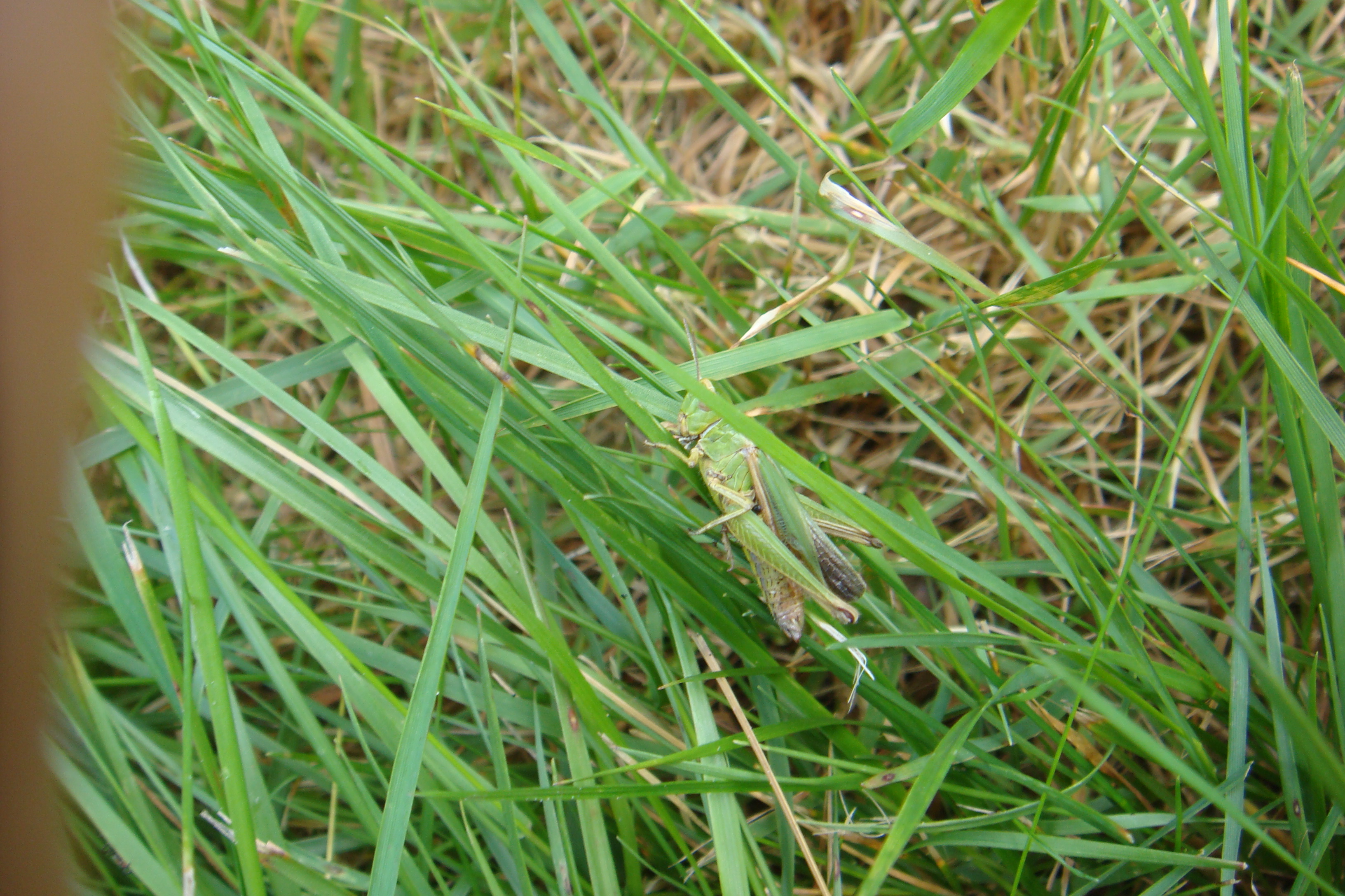 DSC05269