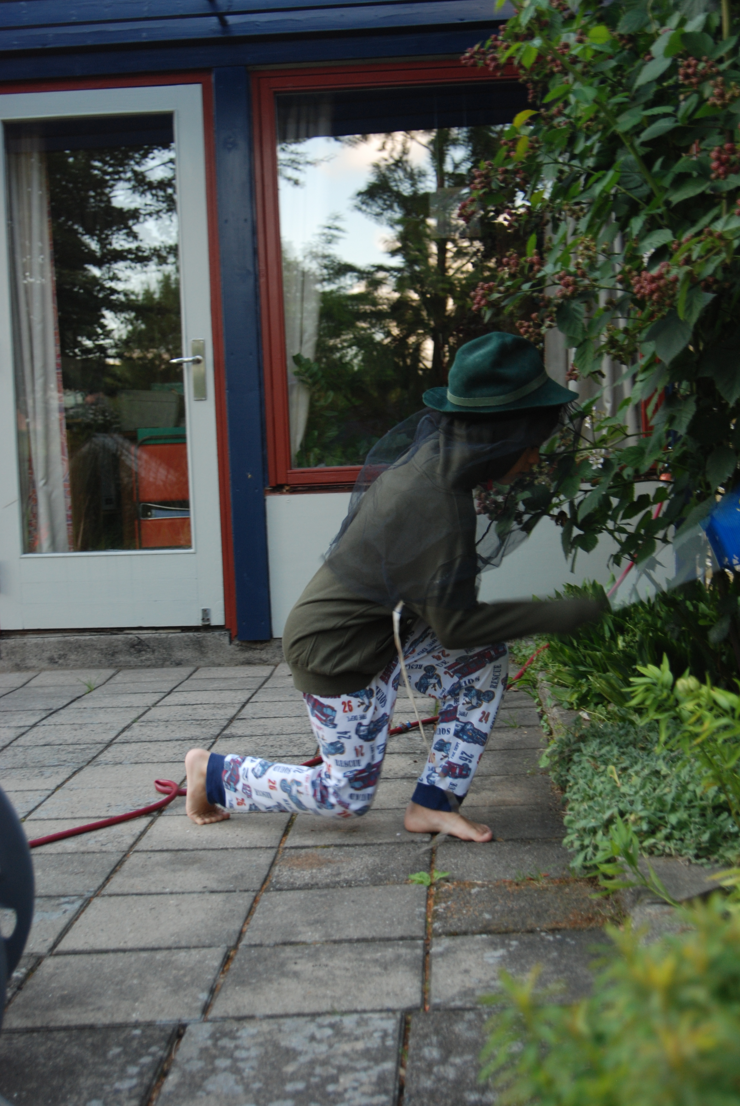 Sommer  080711 195037