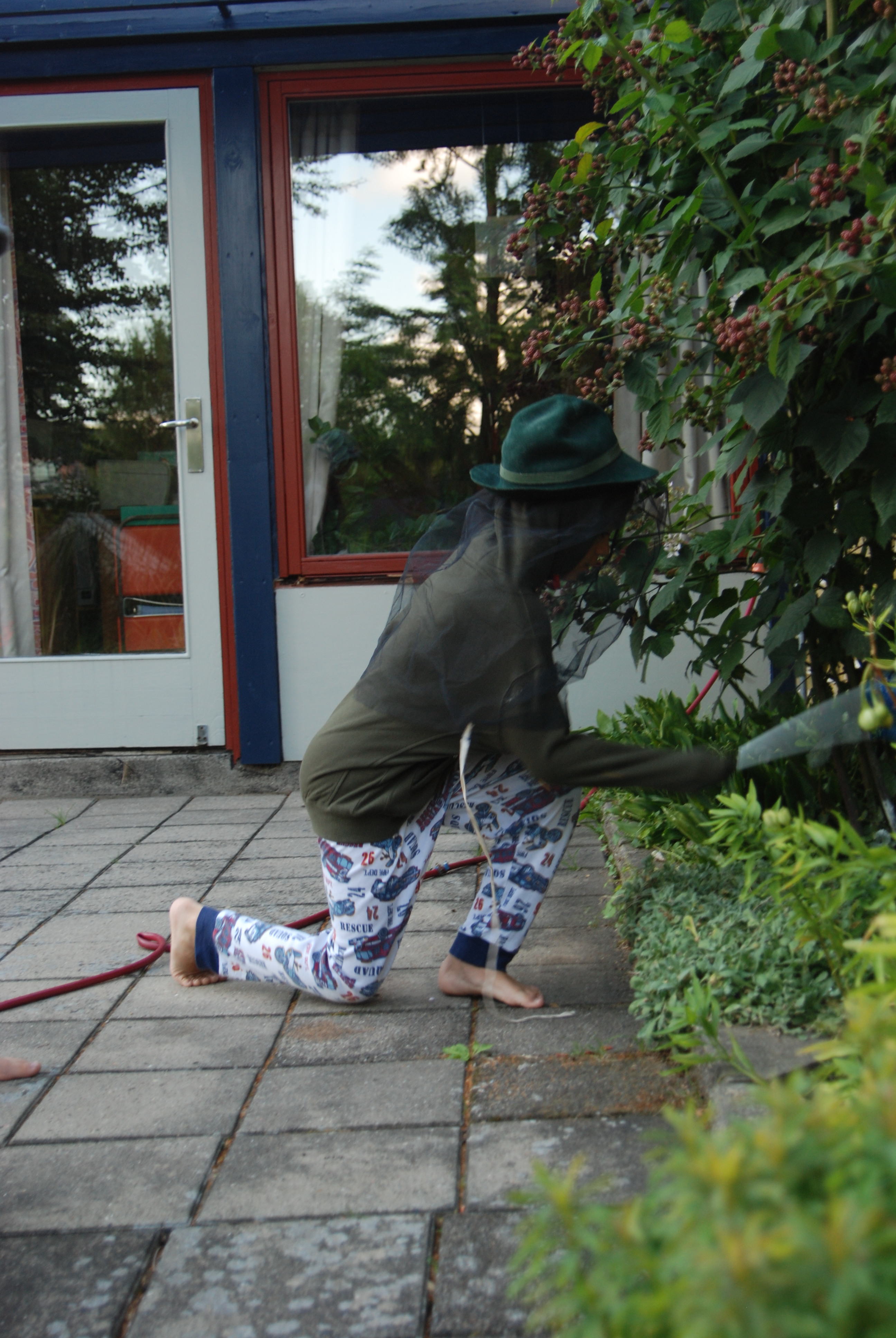 Sommer  080711 195038