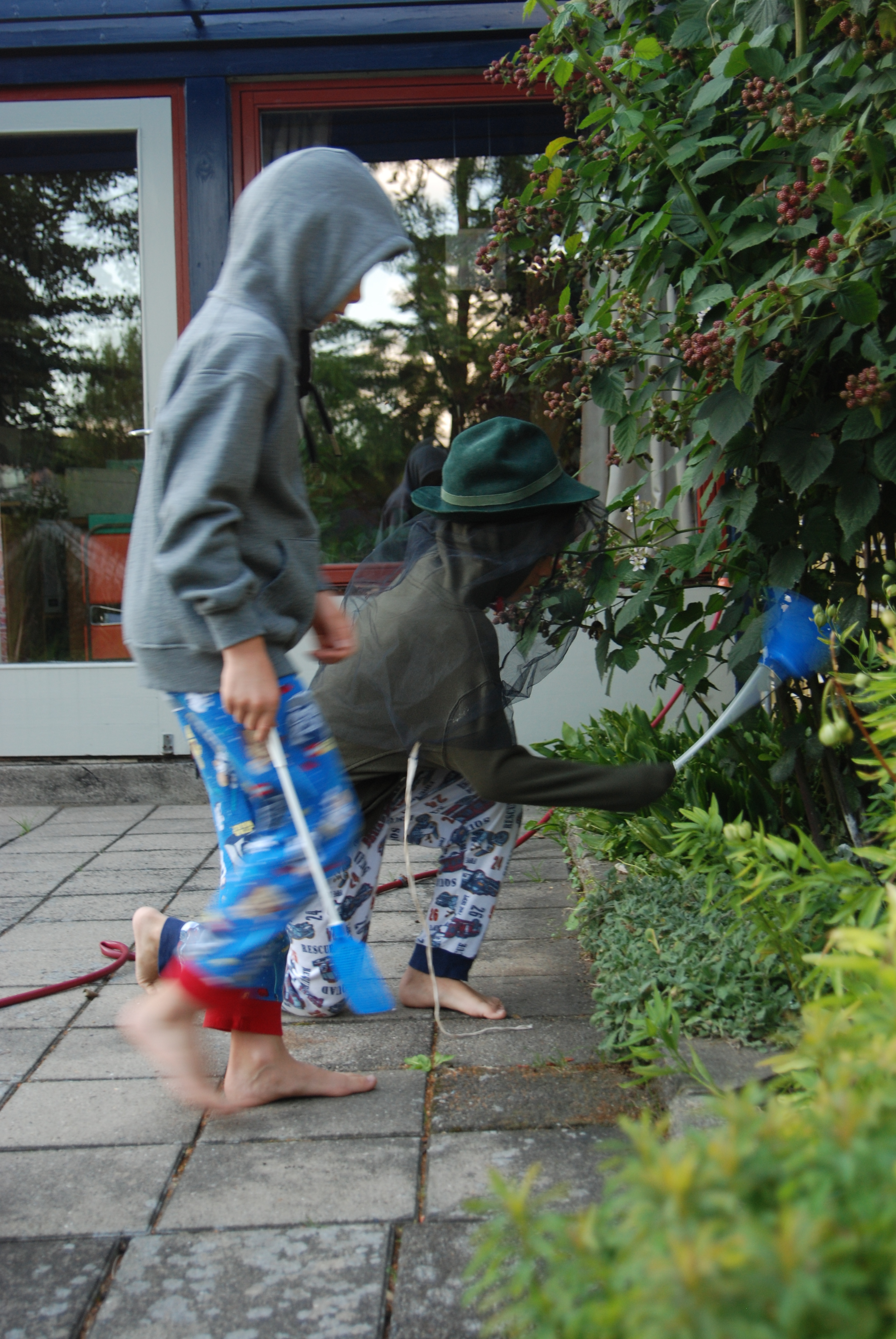 Sommer  080711 195039_01