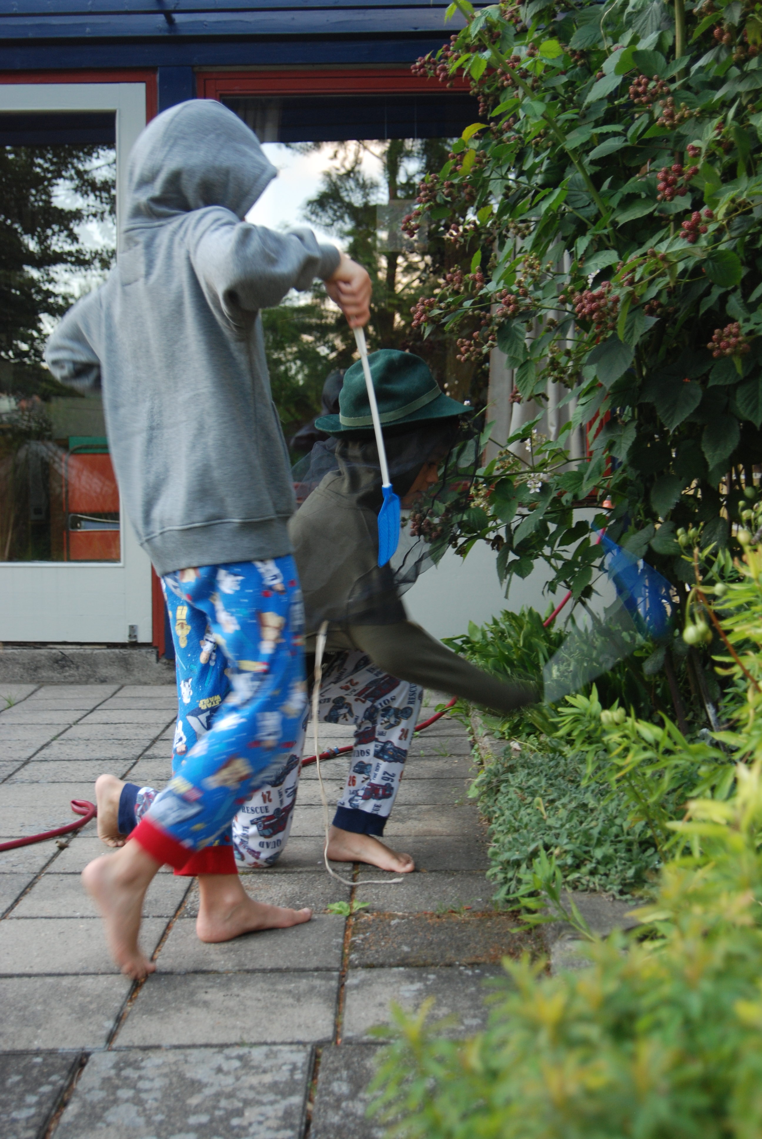 Sommer  080711 195041