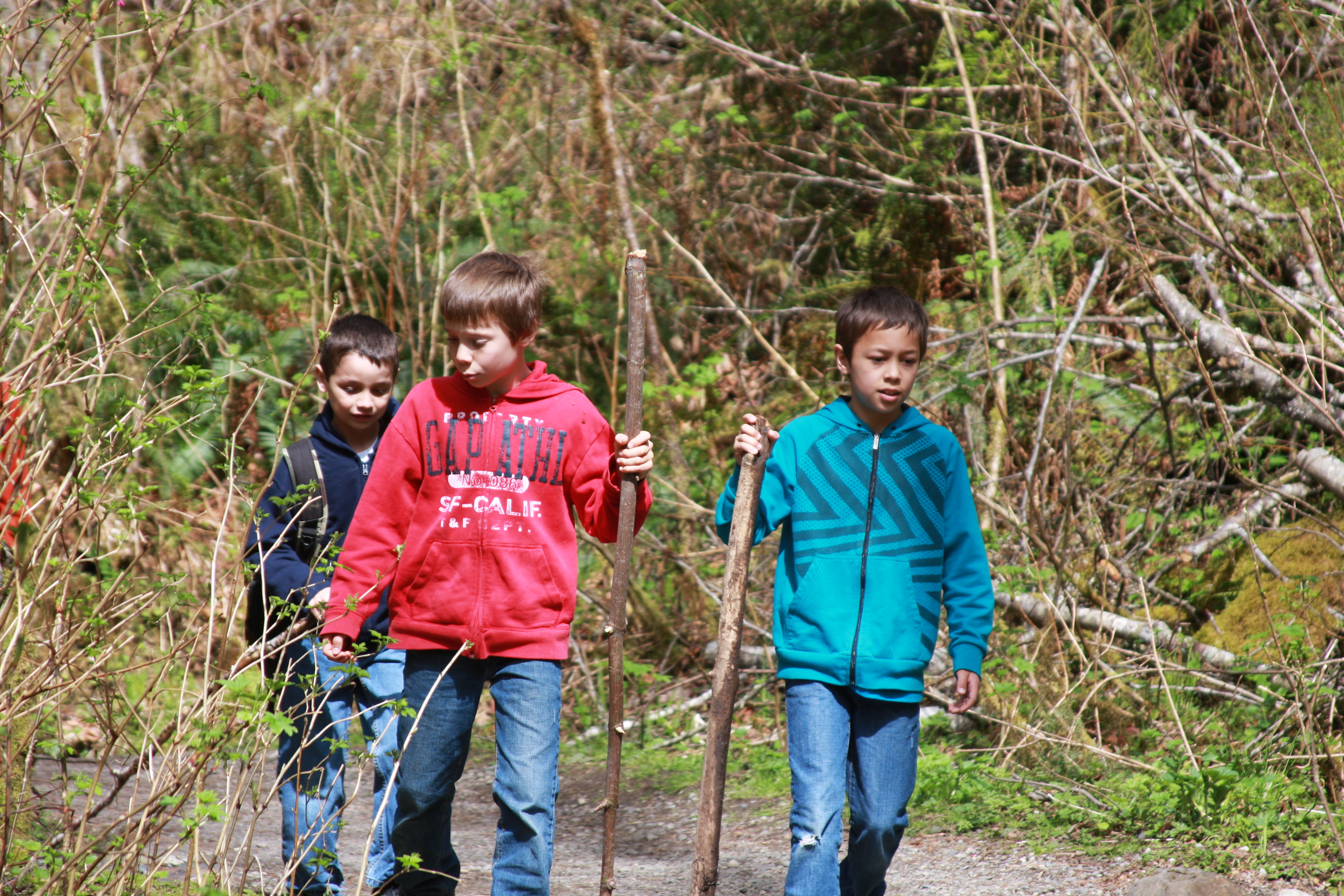Spring hike 021