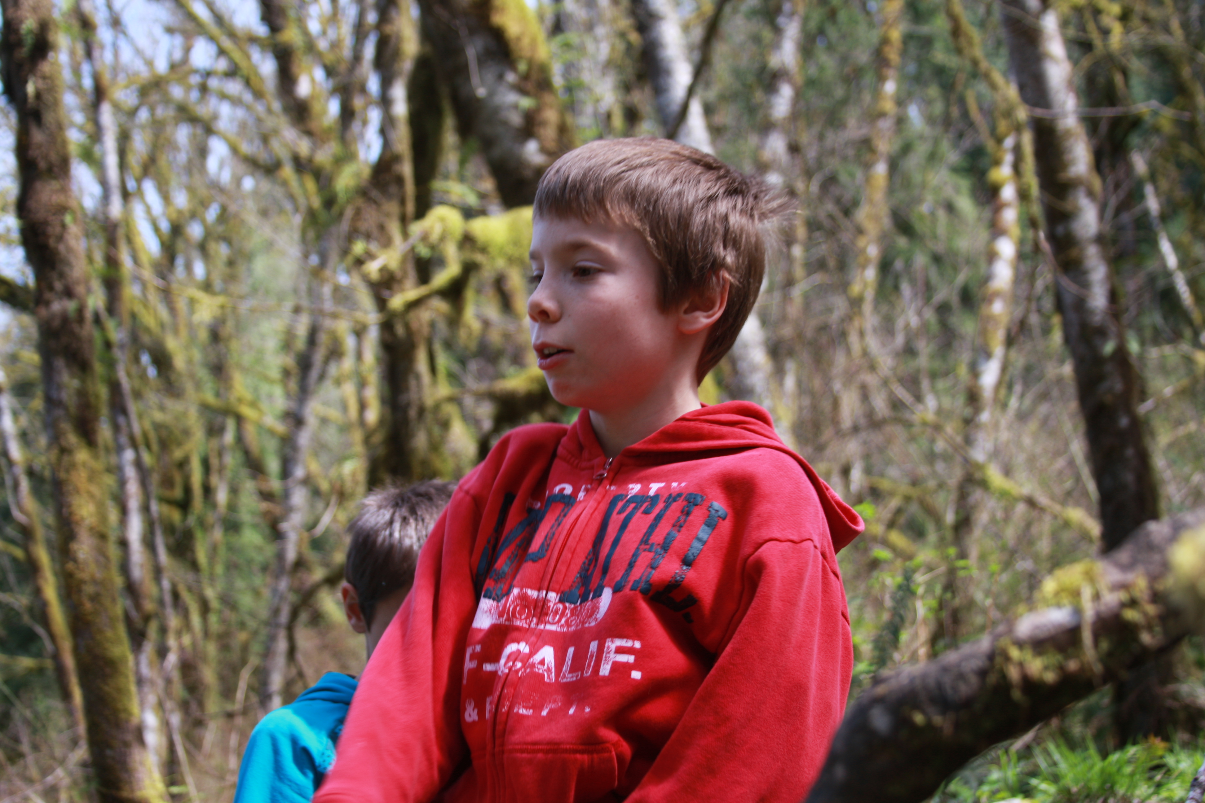 Spring hike 024