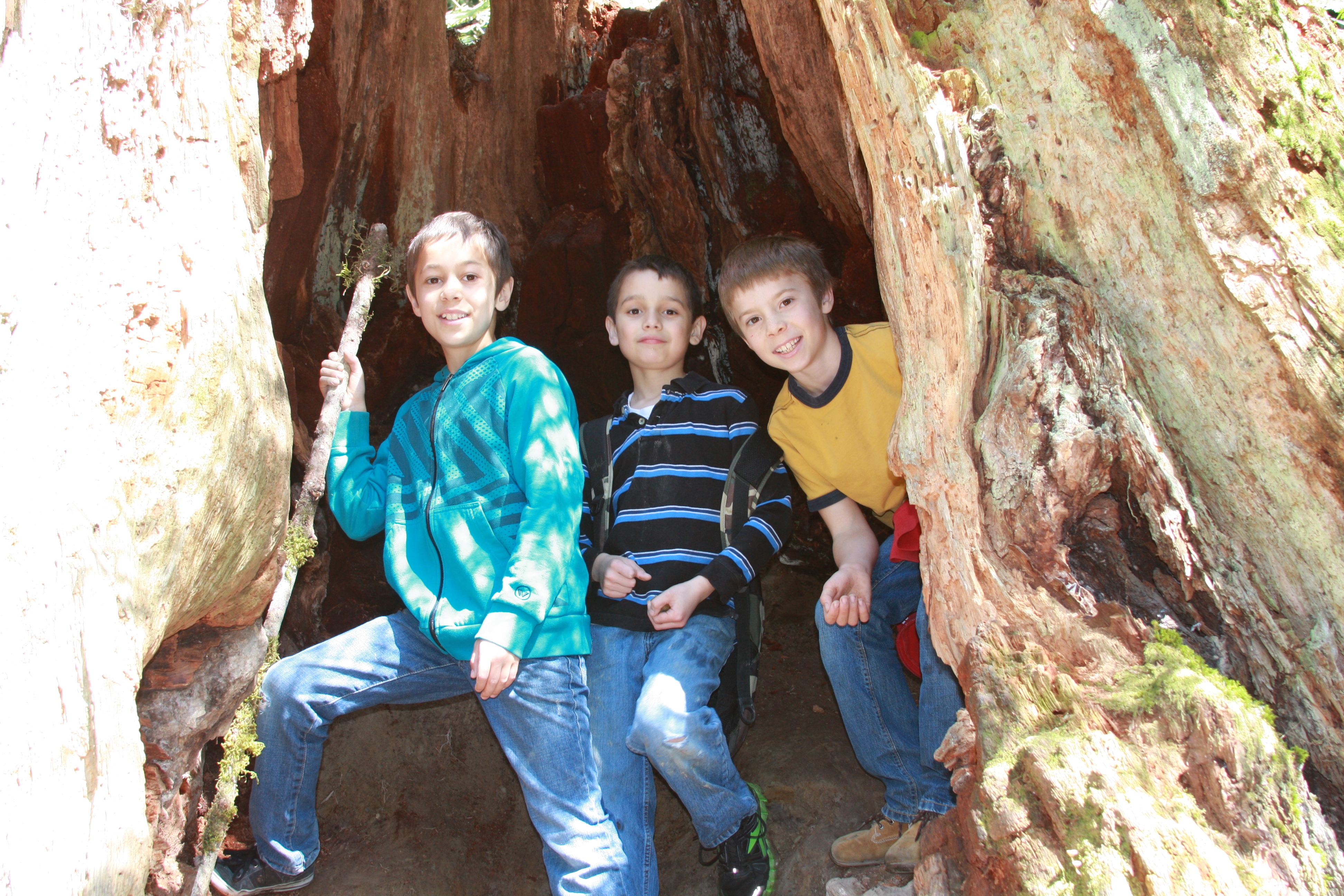 Spring hike 062