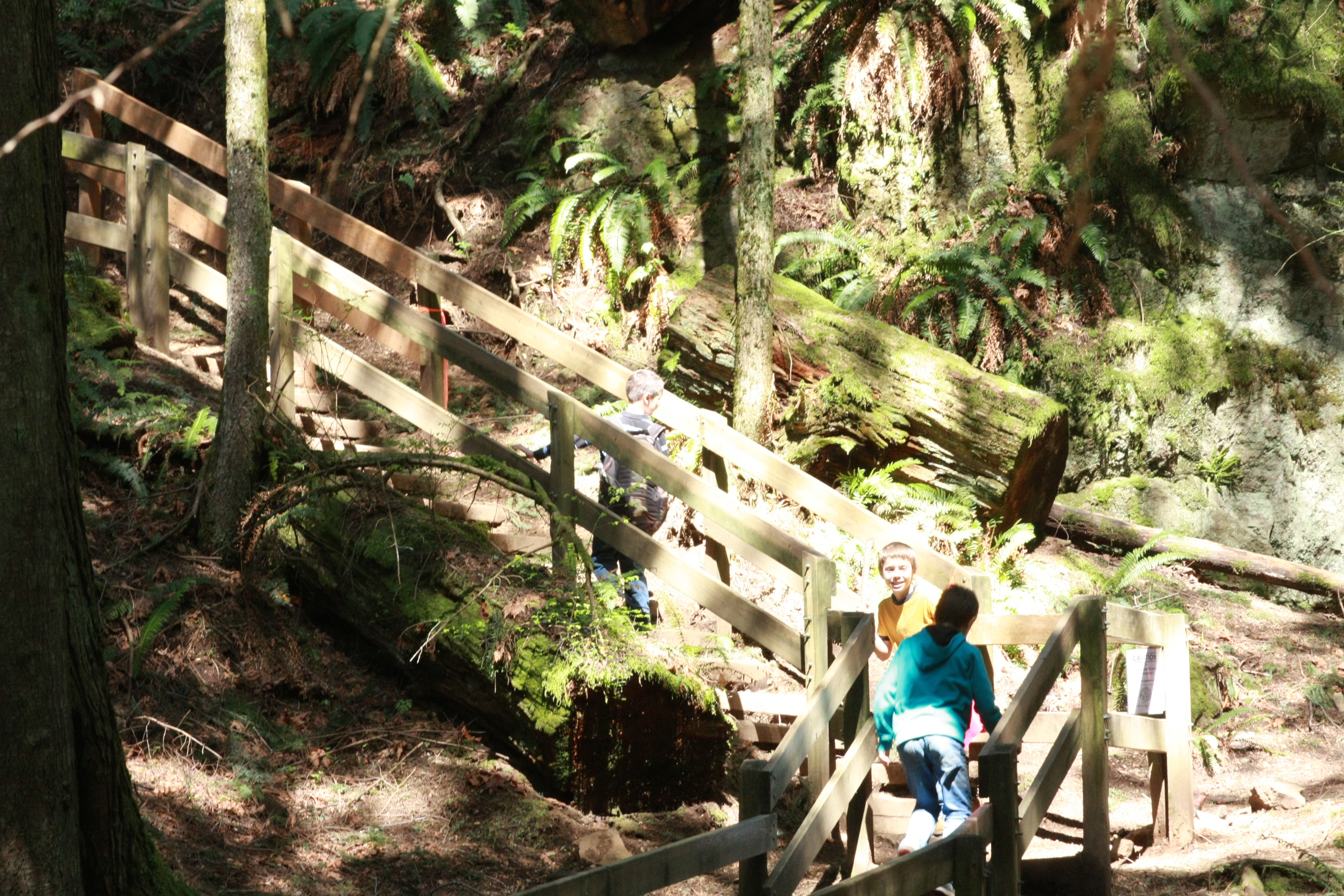 Spring hike 069
