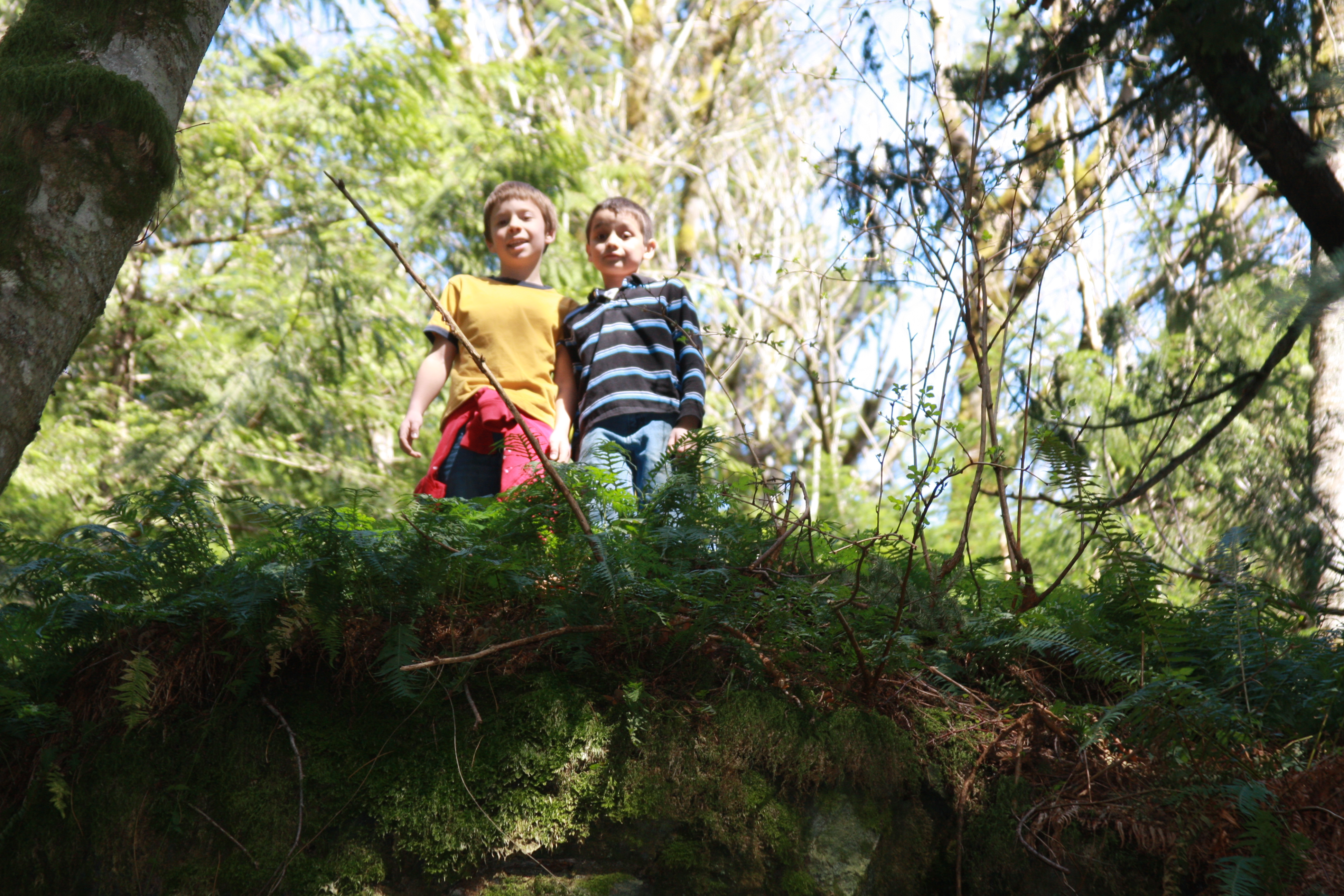 Spring hike 077