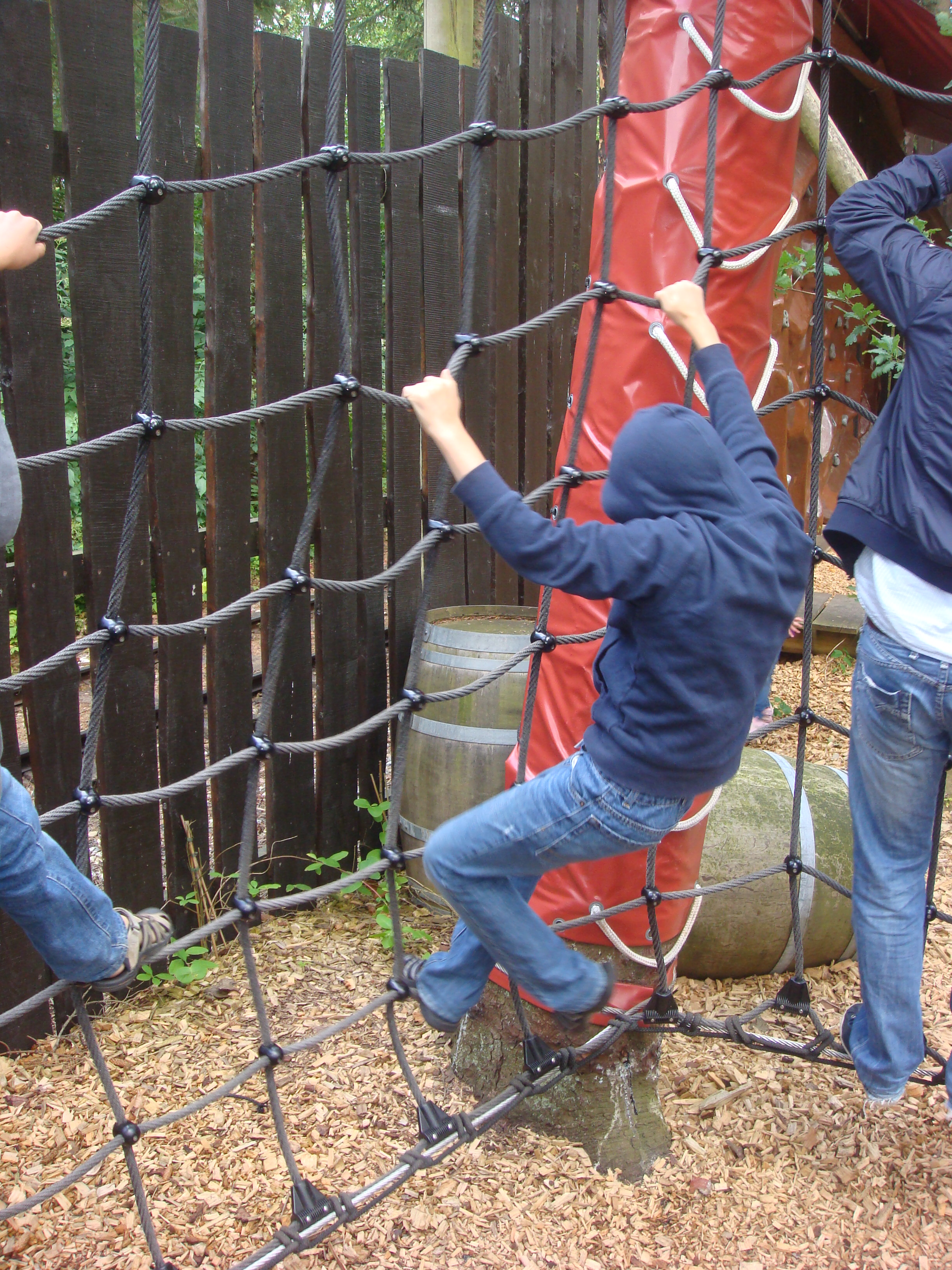 DSC06716