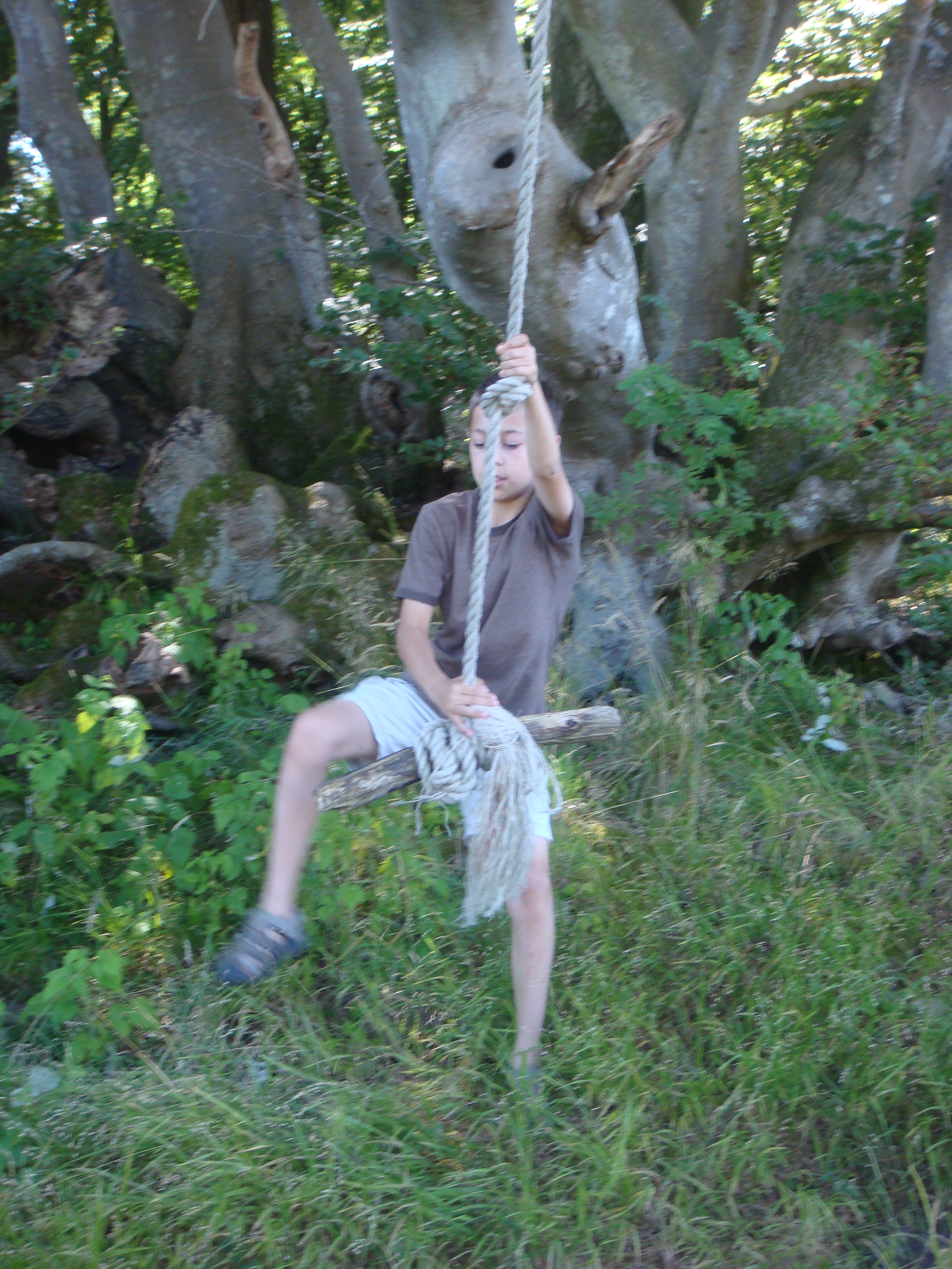 DSC06784