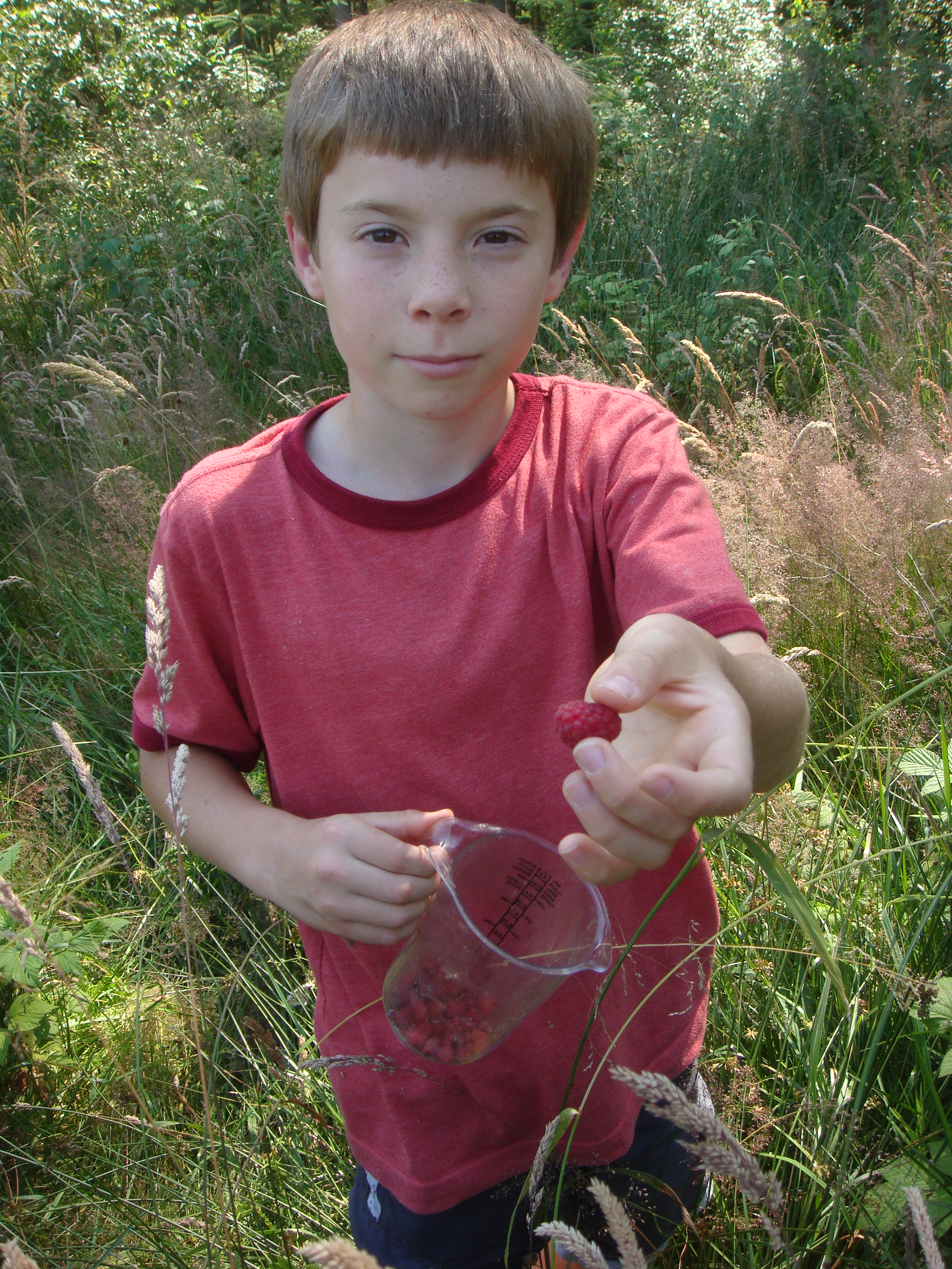 DSC06785