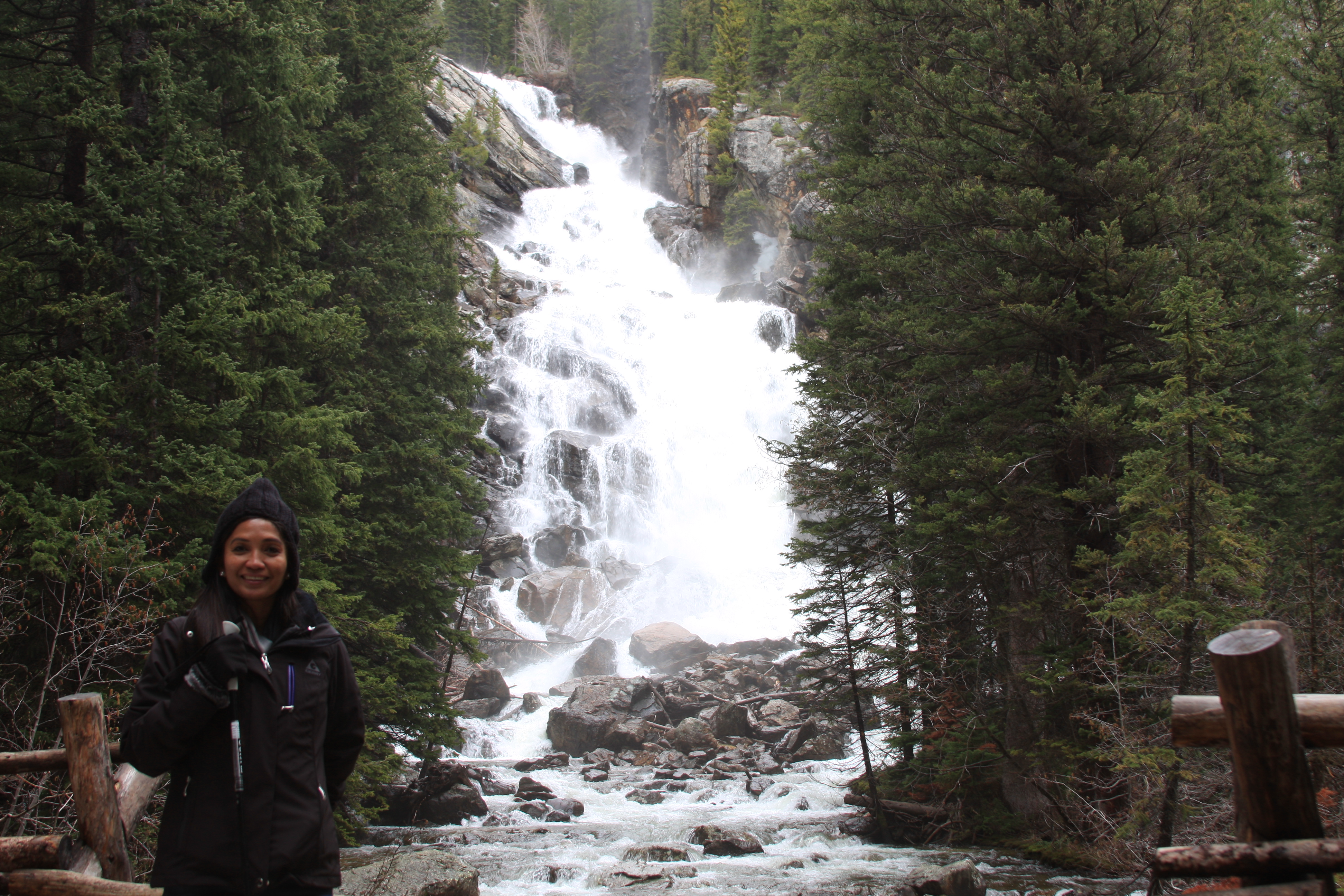 Teton, Yellowstone, May 2013 050