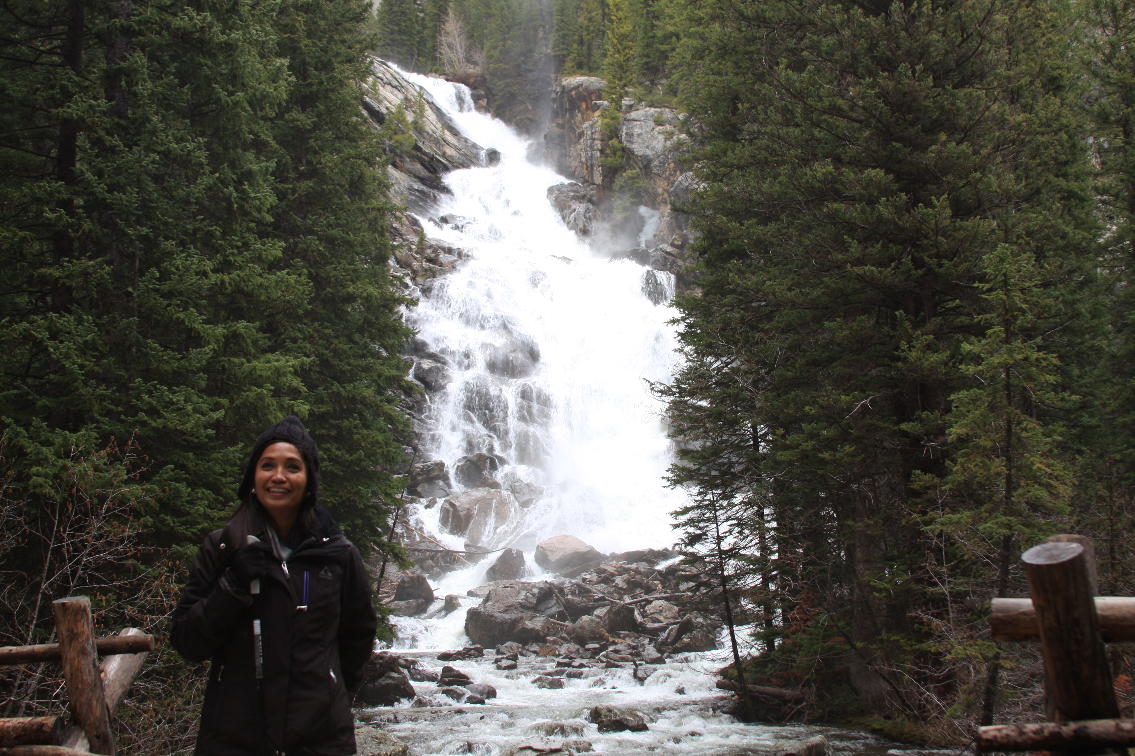Teton, Yellowstone, May 2013 051