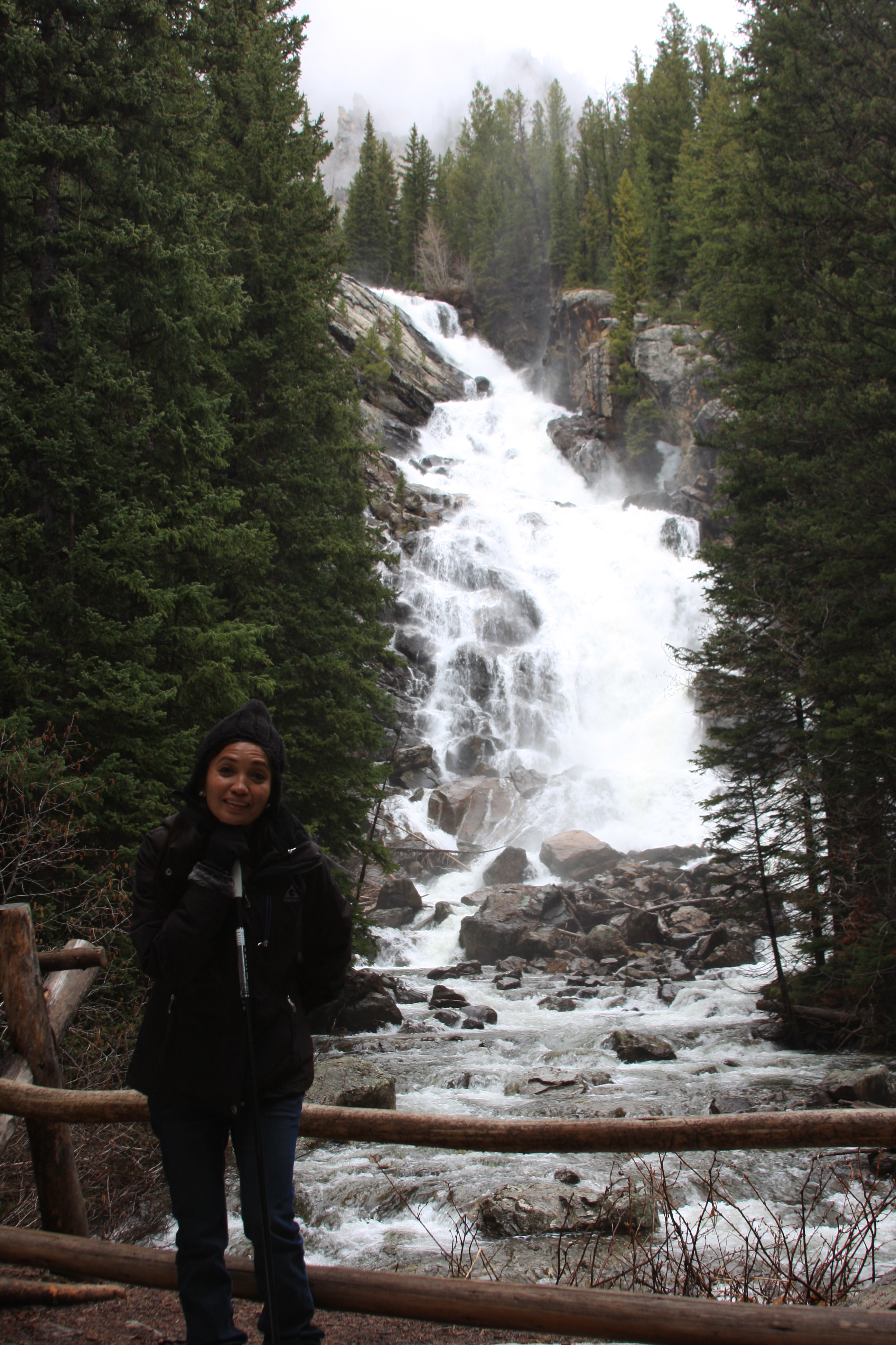 Teton, Yellowstone, May 2013 052