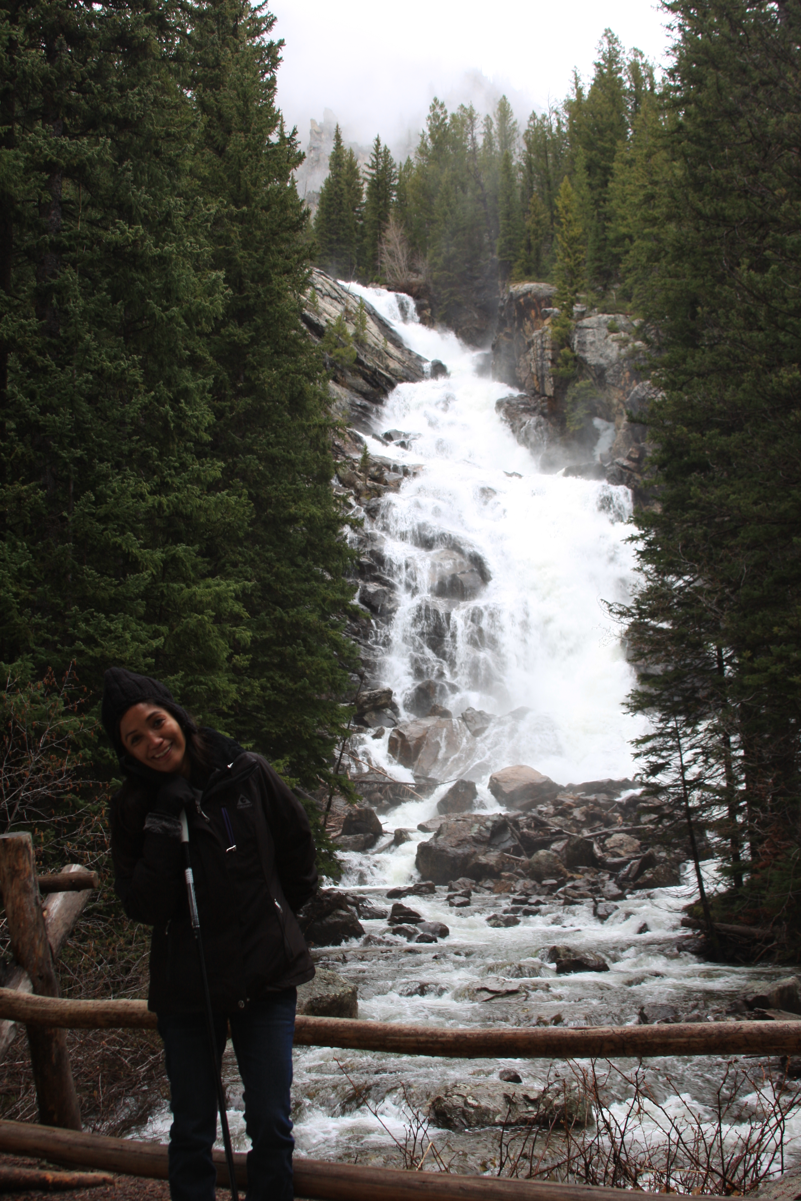 Teton, Yellowstone, May 2013 053