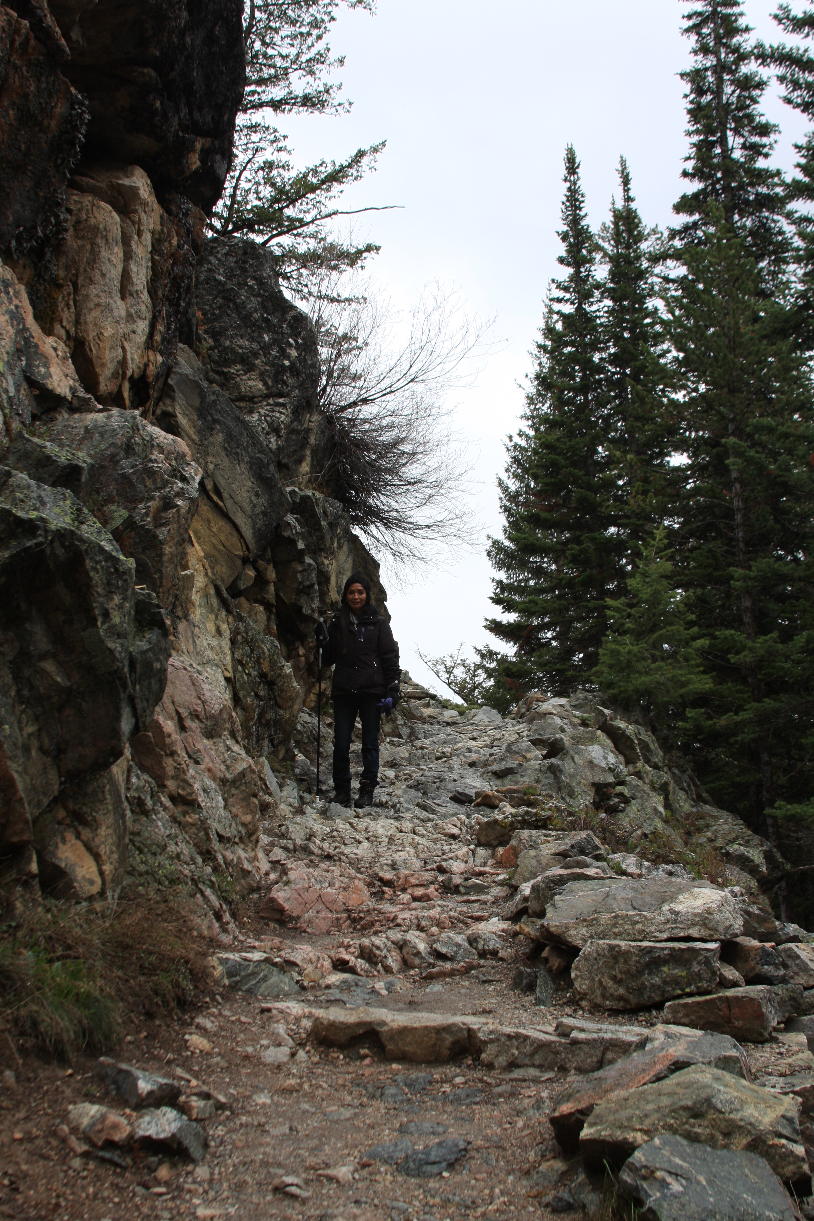 Teton, Yellowstone, May 2013 059