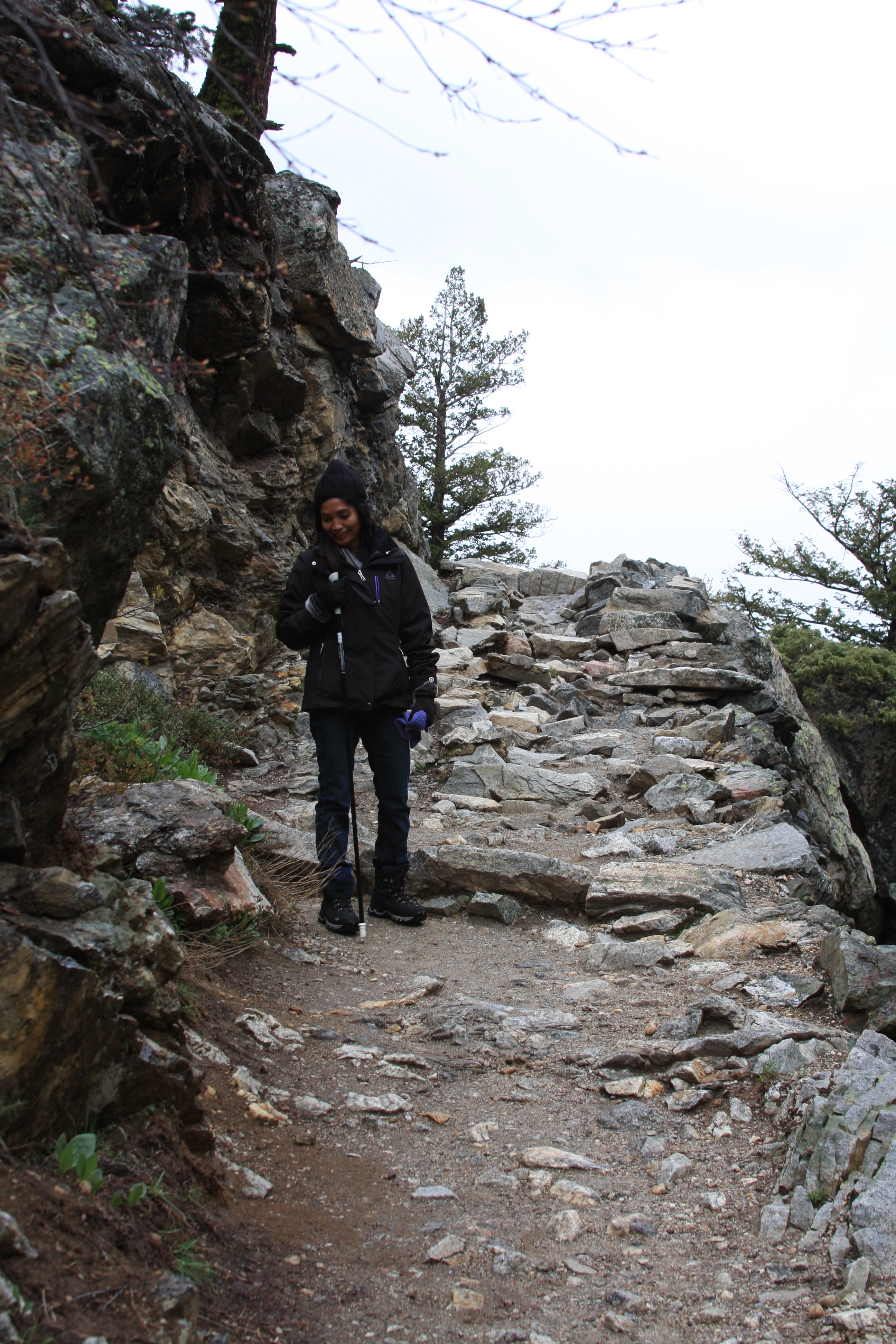 Teton, Yellowstone, May 2013 060