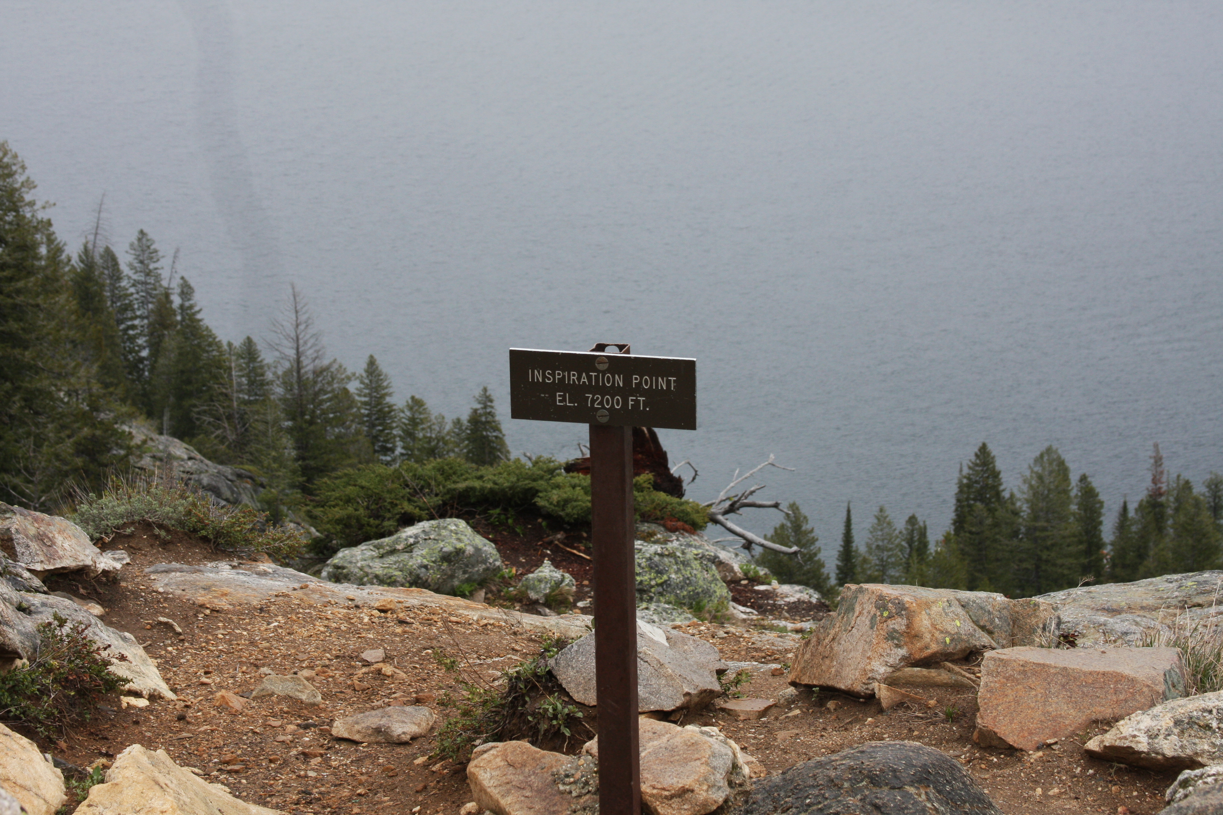 Teton, Yellowstone, May 2013 073