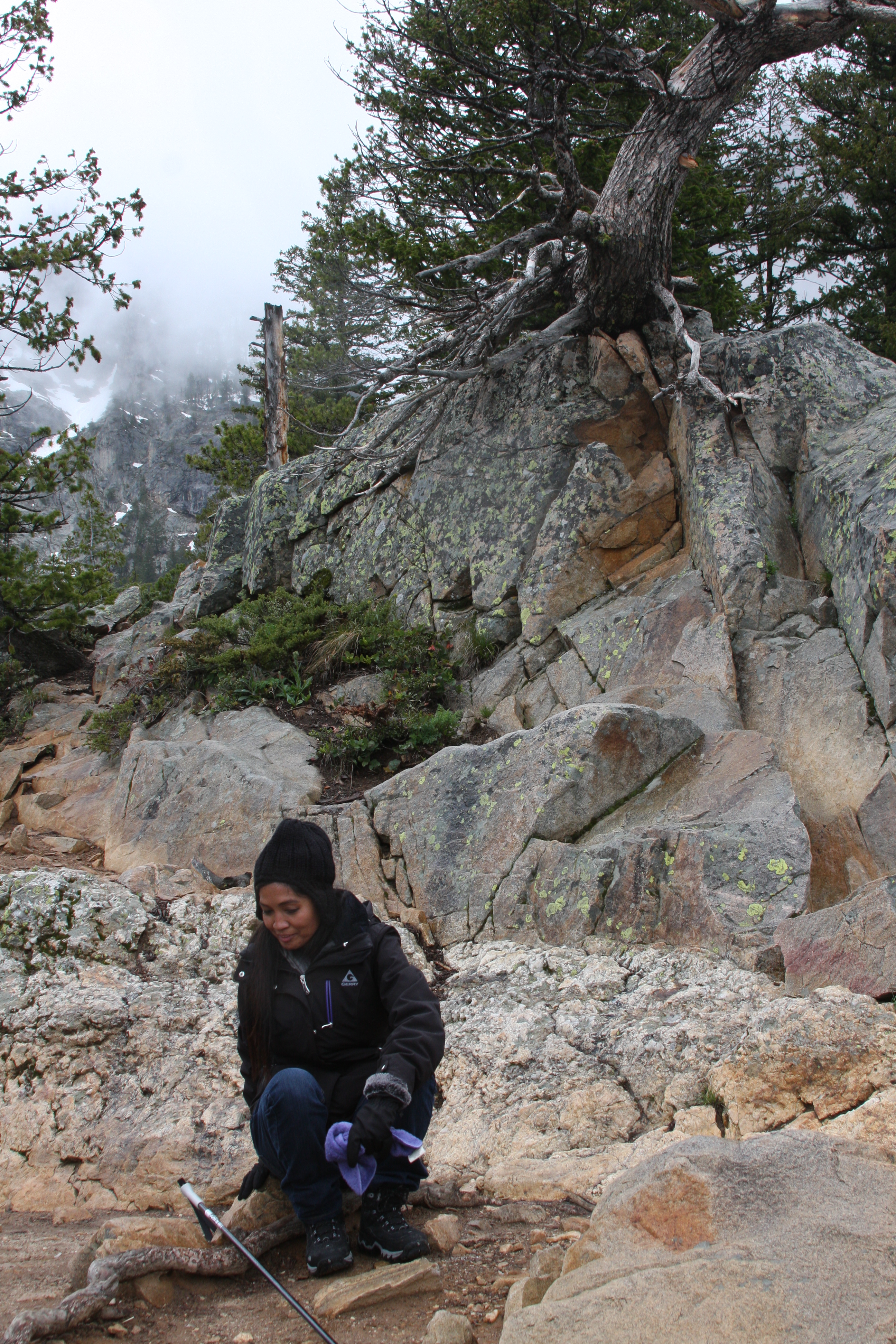 Teton, Yellowstone, May 2013 074