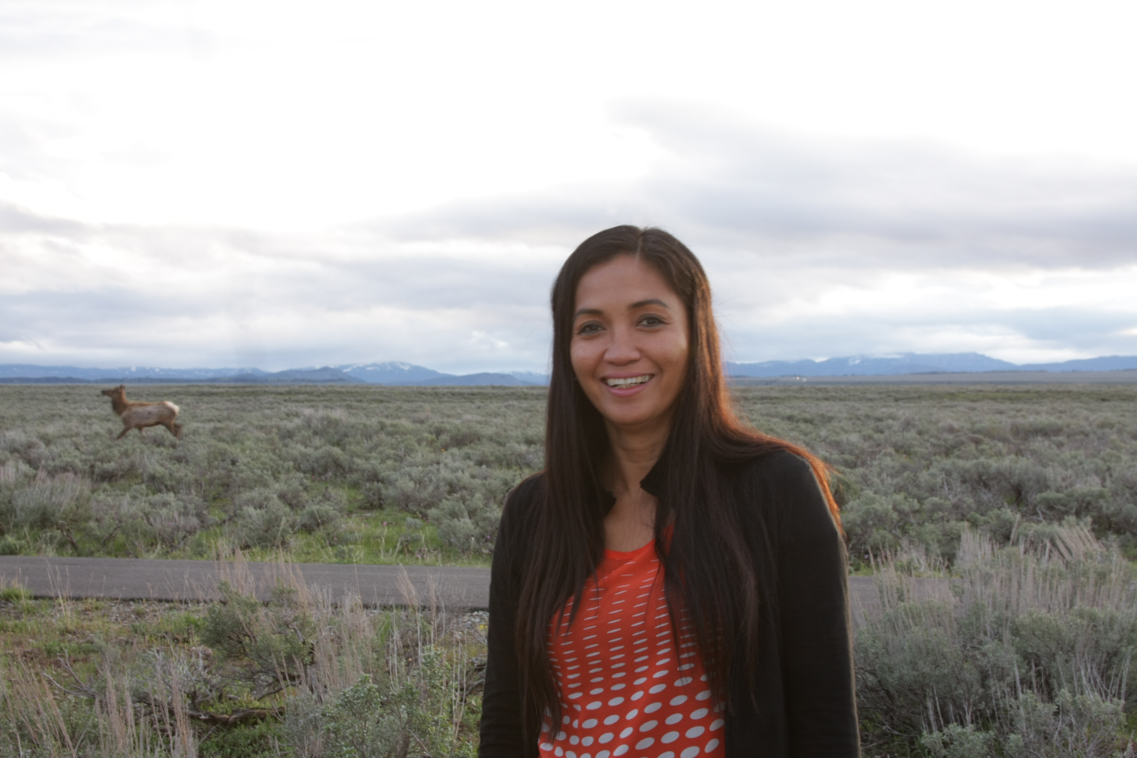 Teton, Yellowstone, May 2013 105