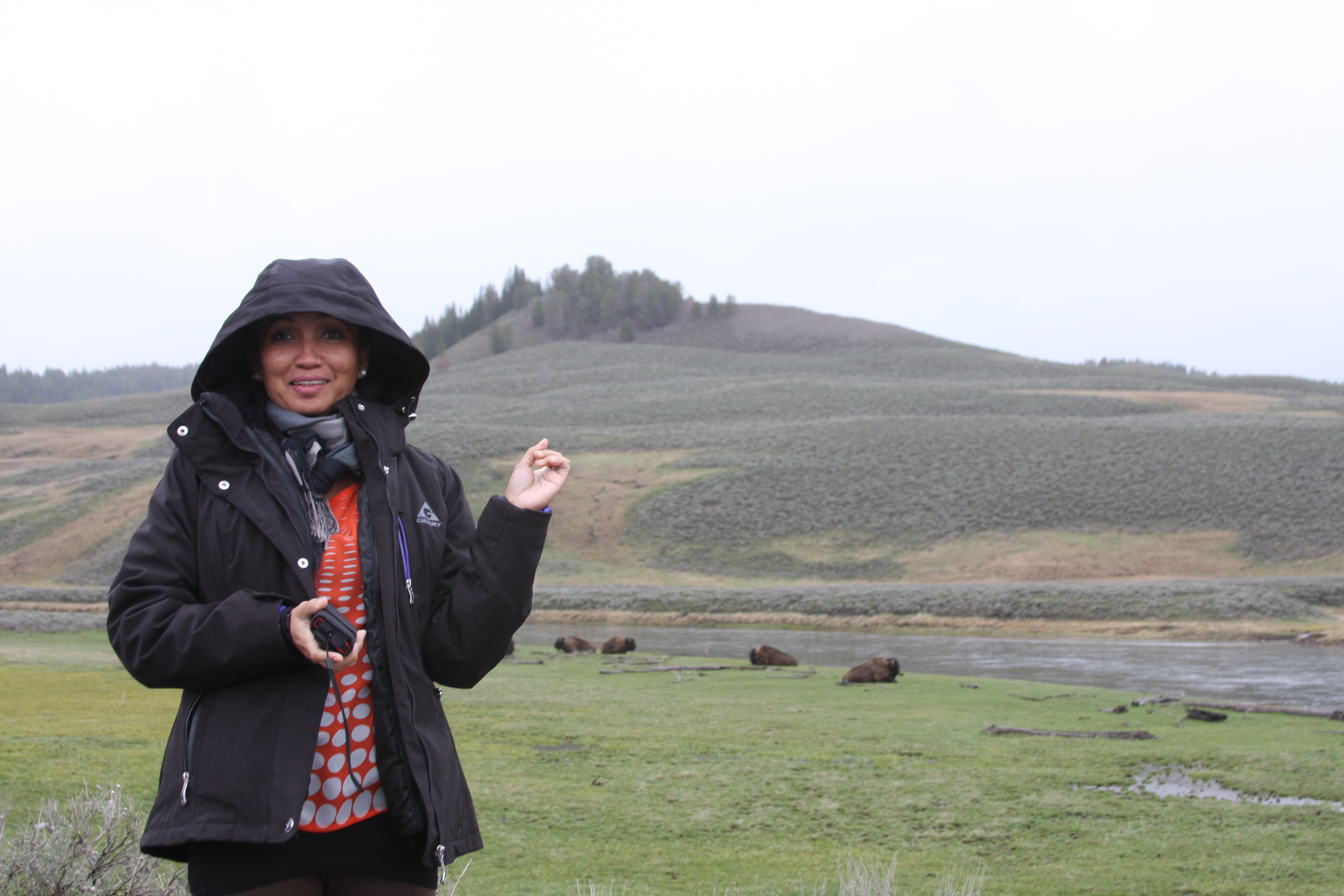 Teton, Yellowstone, May 2013 125