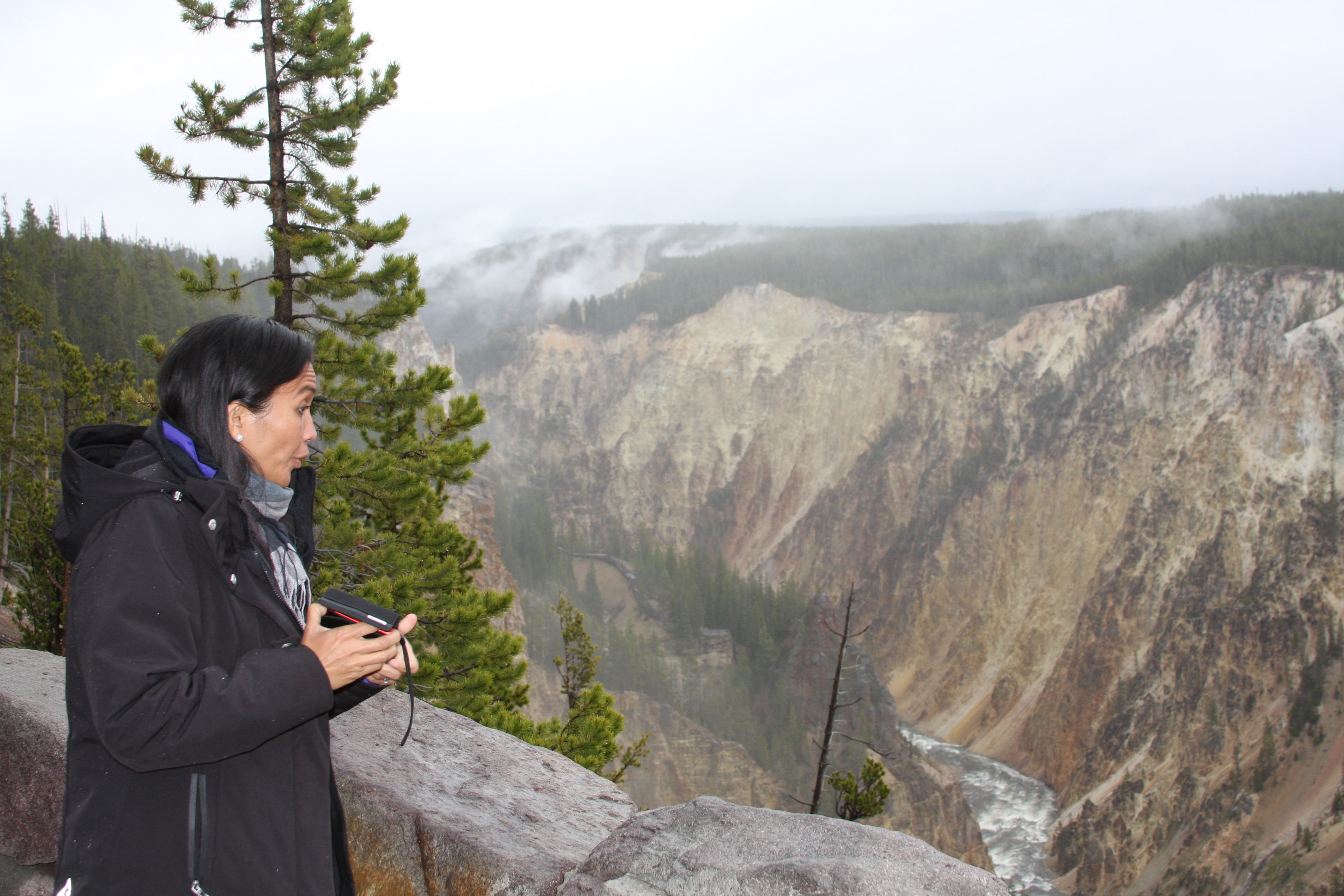 Teton, Yellowstone, May 2013 128
