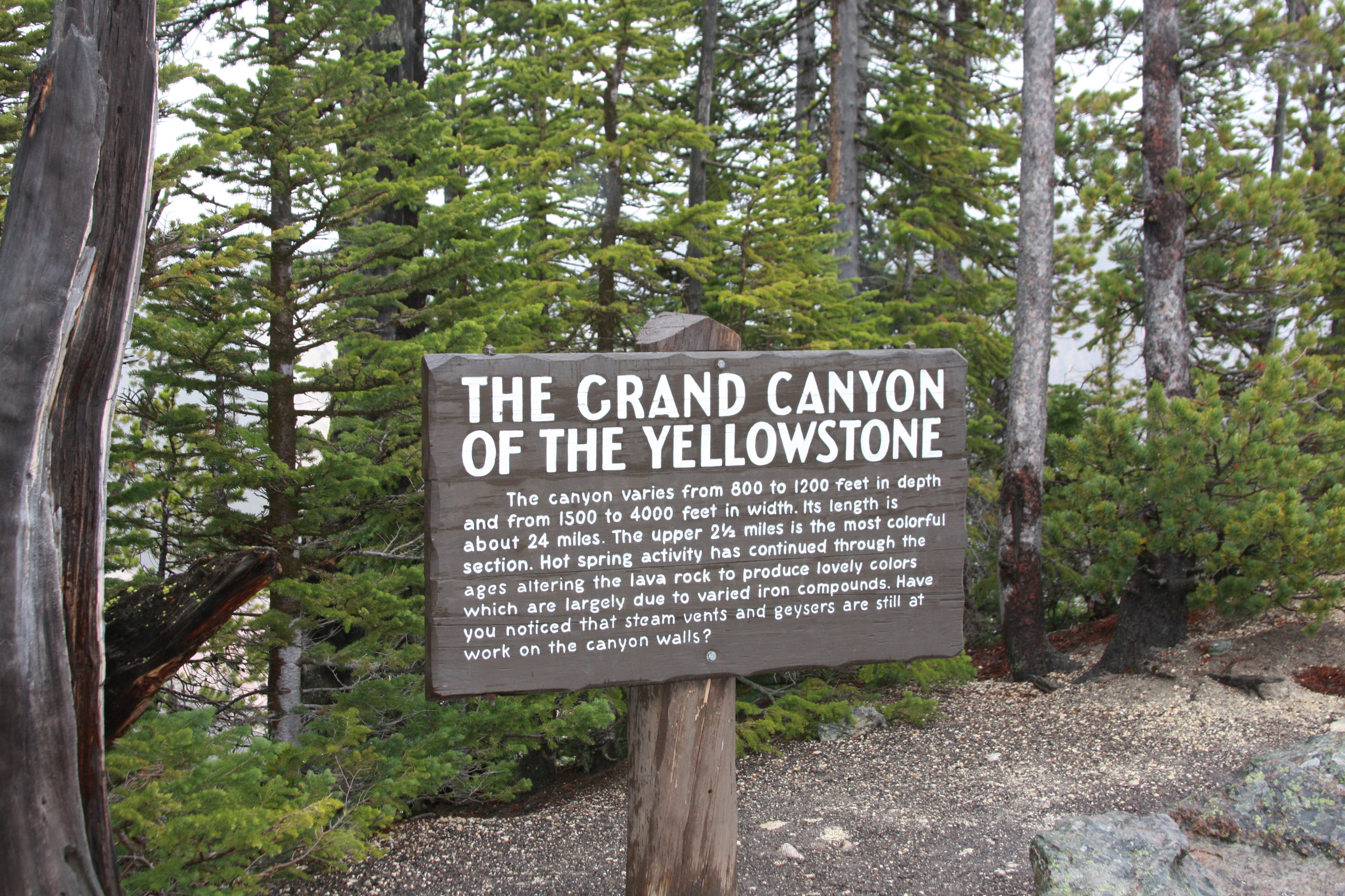 Teton, Yellowstone, May 2013 151
