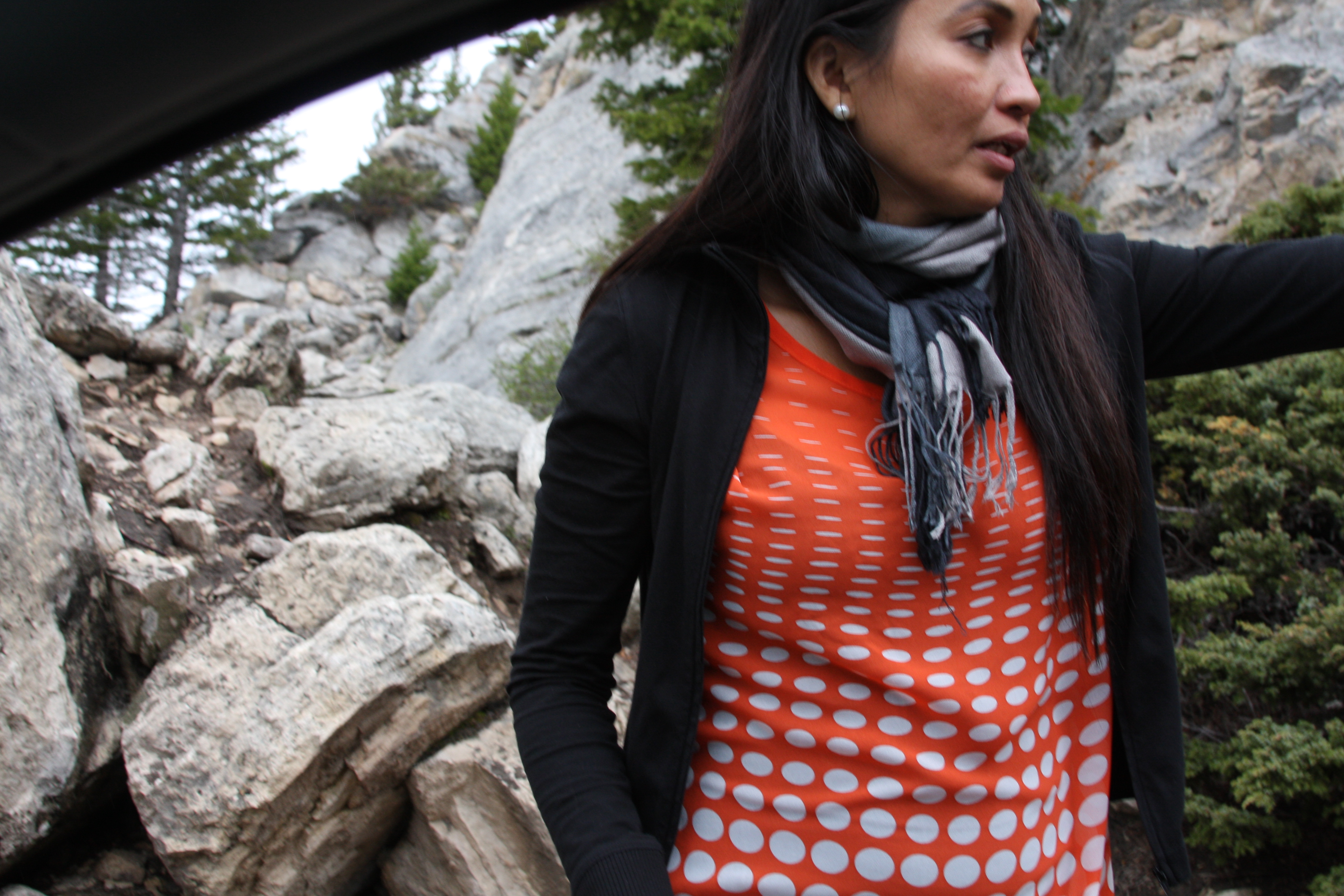 Teton, Yellowstone, May 2013 156