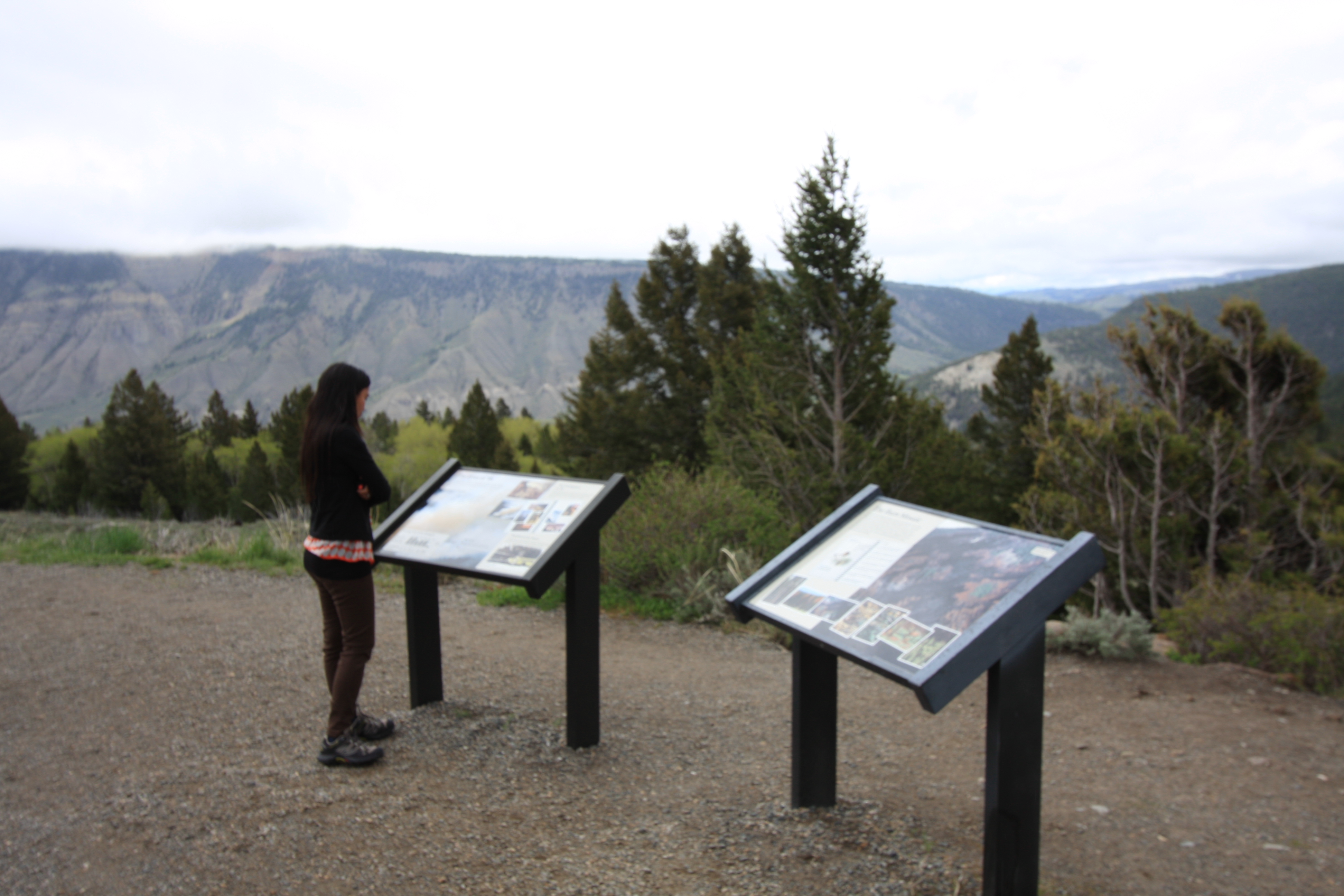 Teton, Yellowstone, May 2013 172