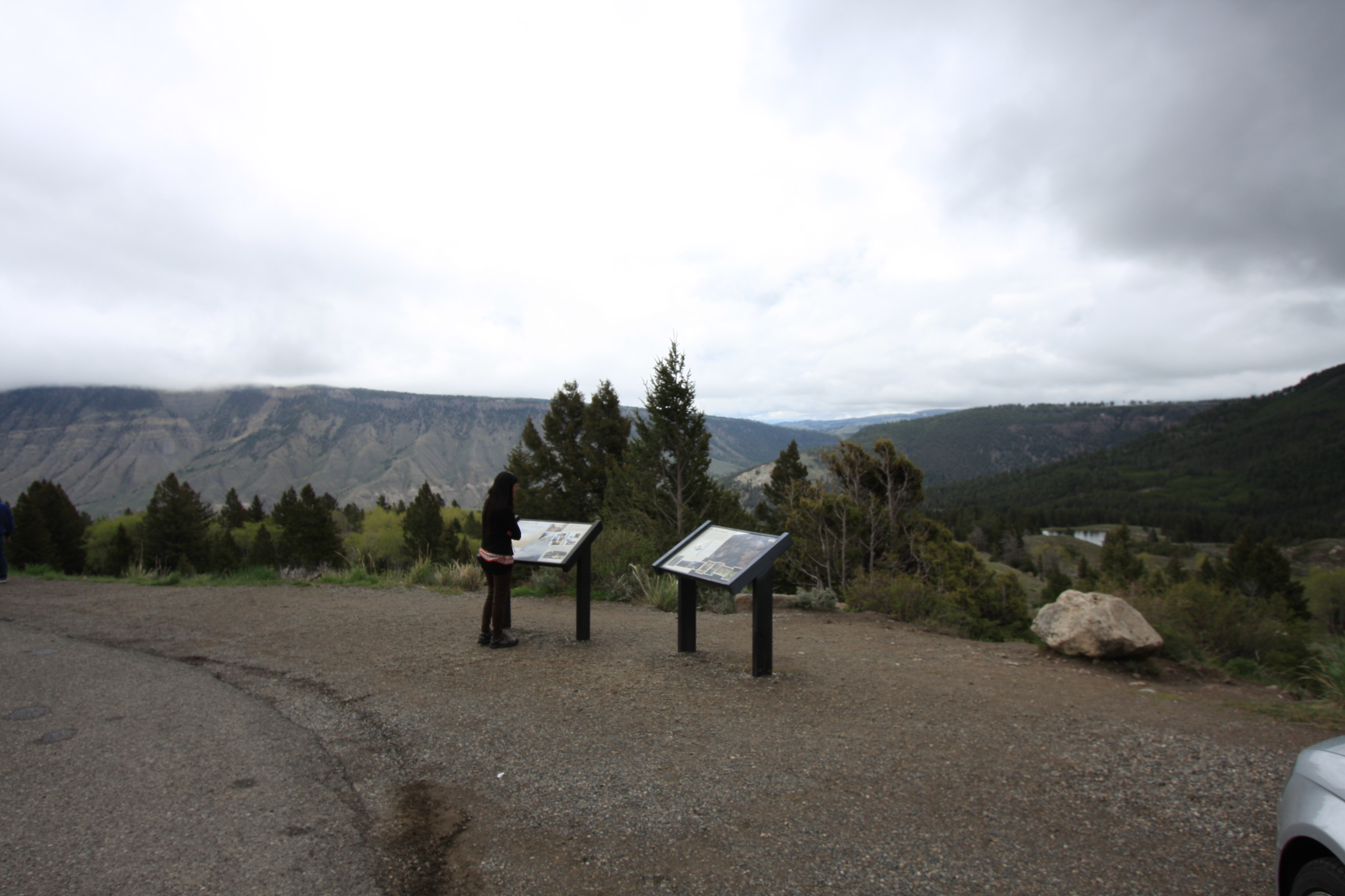 Teton, Yellowstone, May 2013 173
