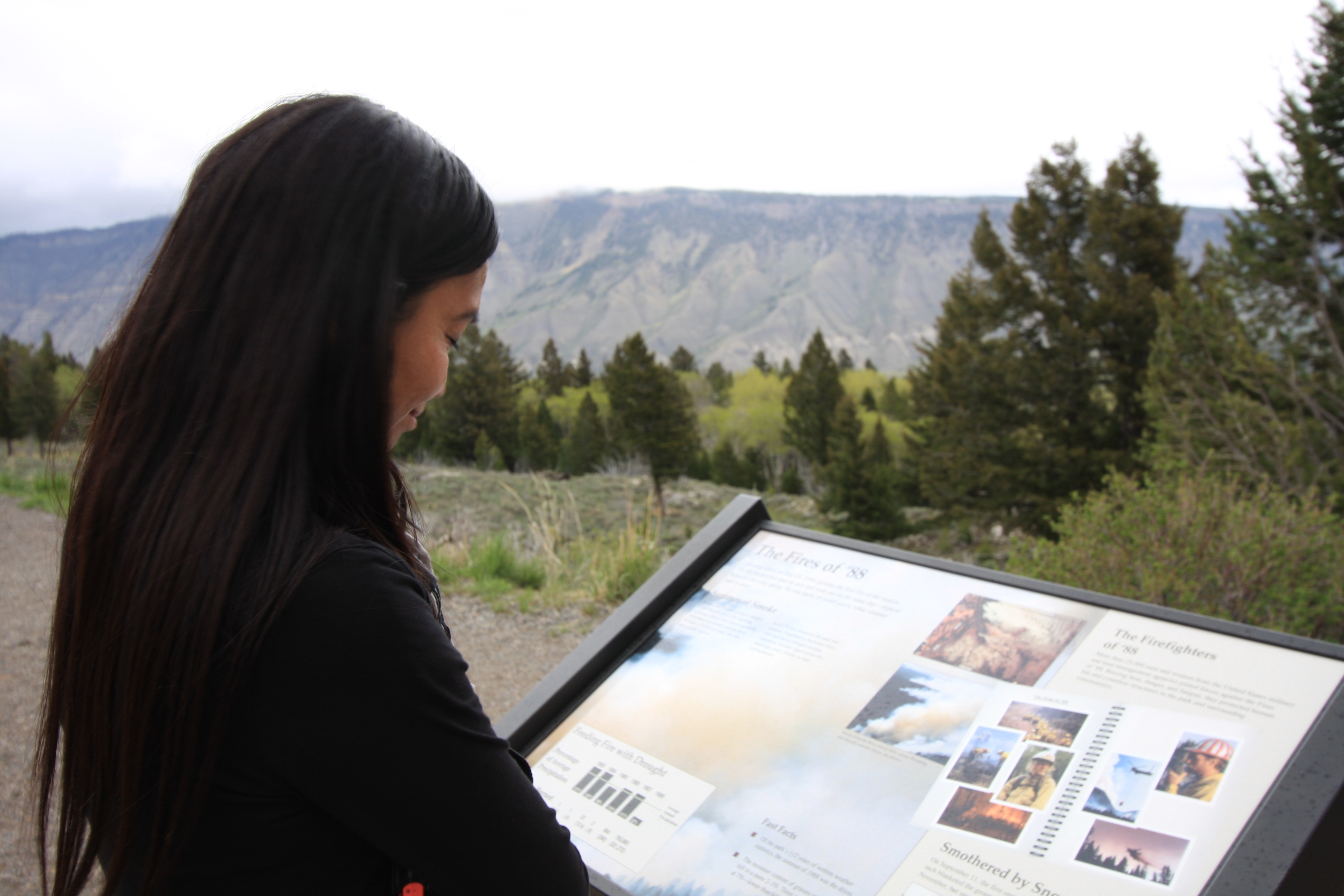 Teton, Yellowstone, May 2013 175