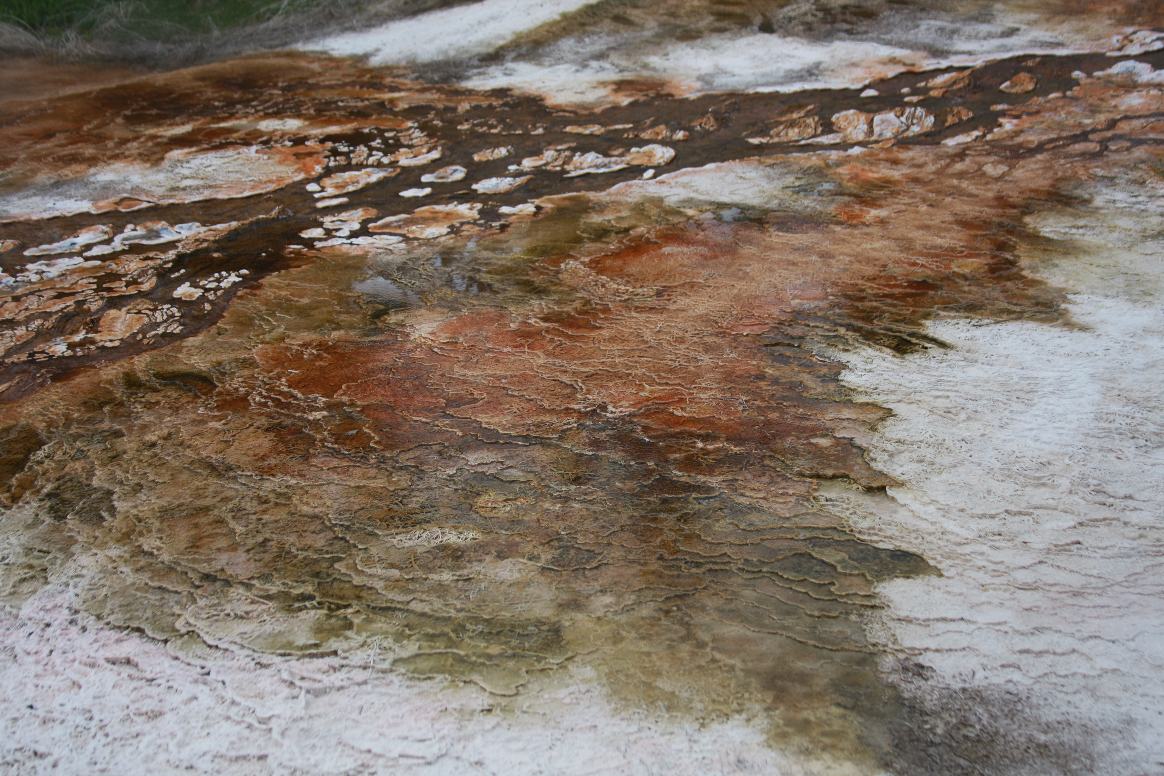 Teton, Yellowstone, May 2013 178