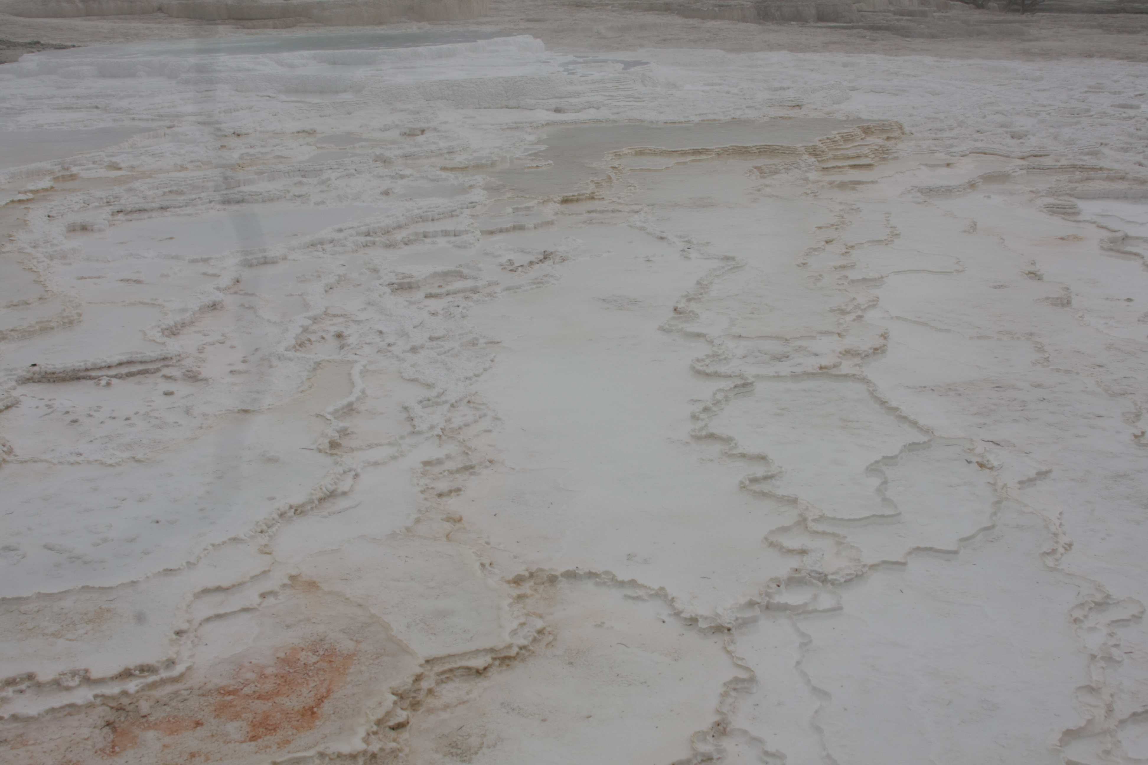 Teton, Yellowstone, May 2013 180