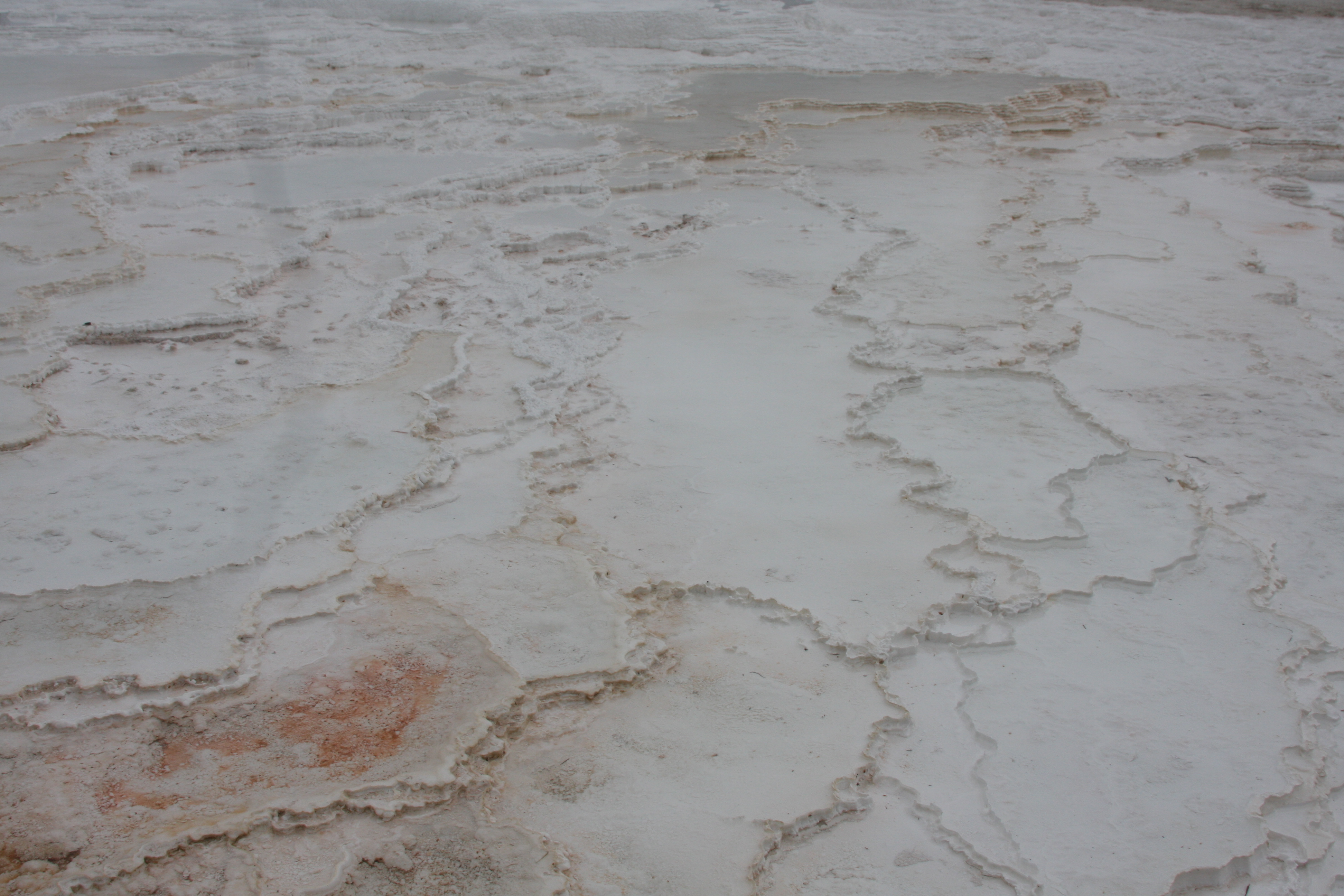 Teton, Yellowstone, May 2013 181