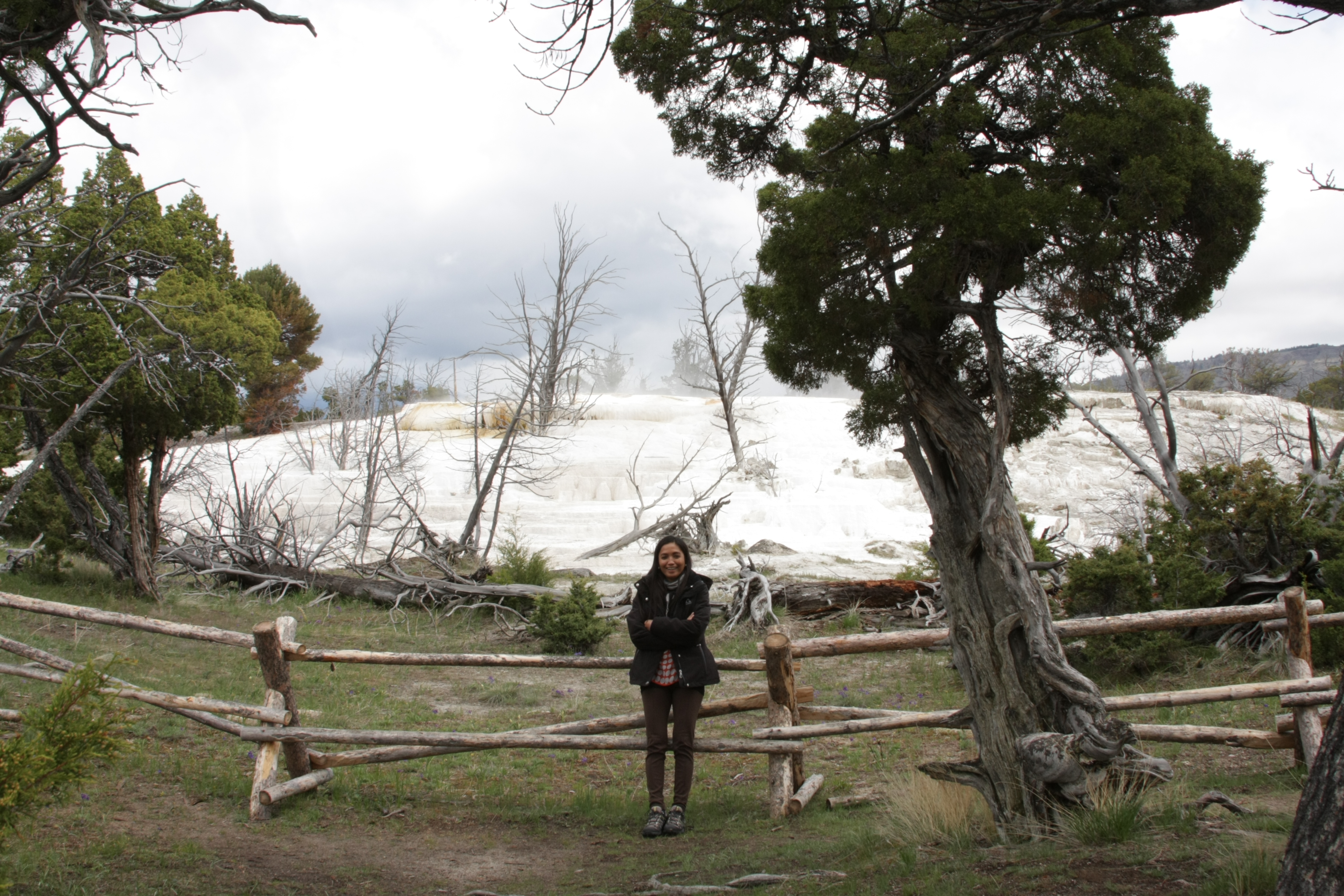 Teton, Yellowstone, May 2013 190