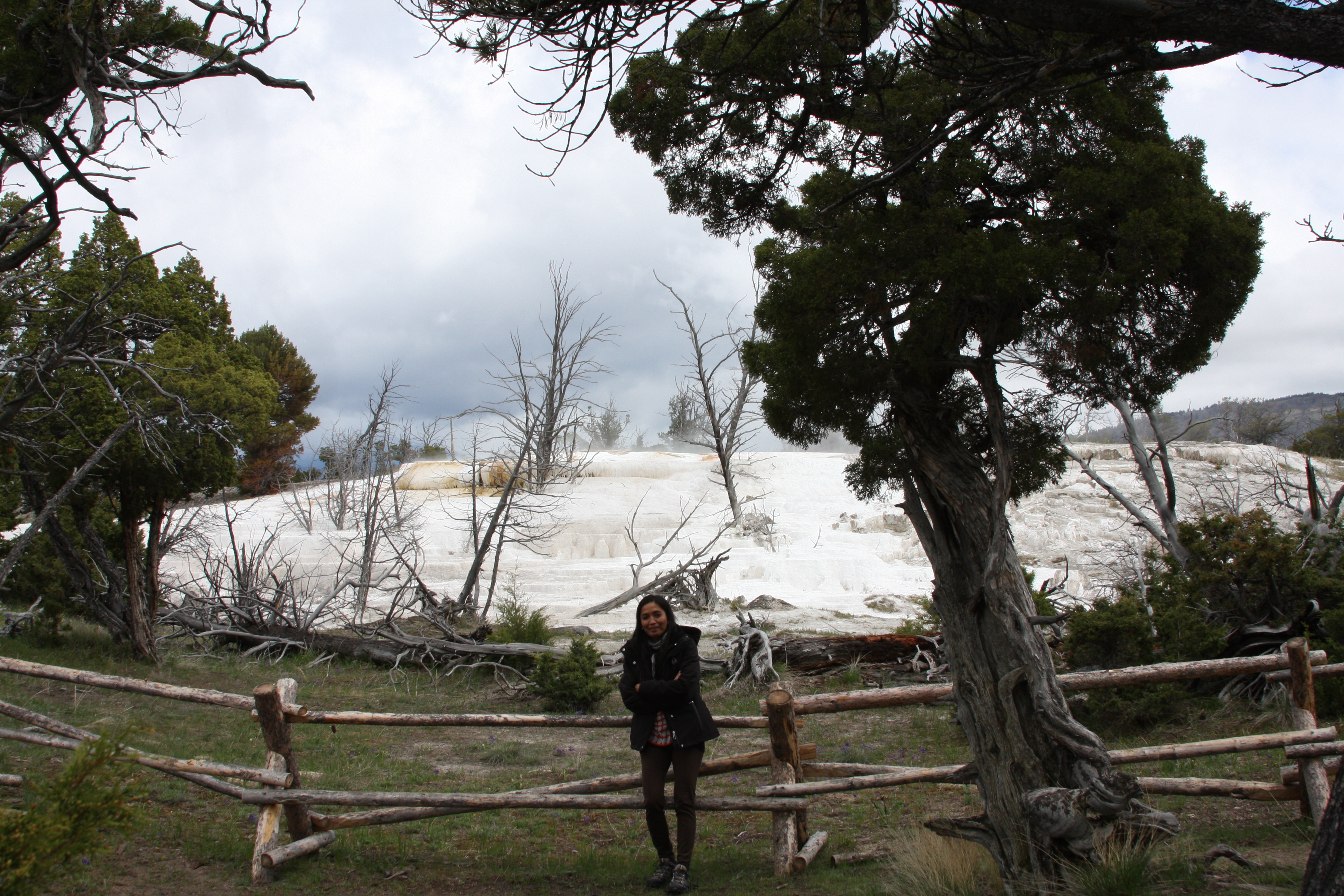 Teton, Yellowstone, May 2013 191