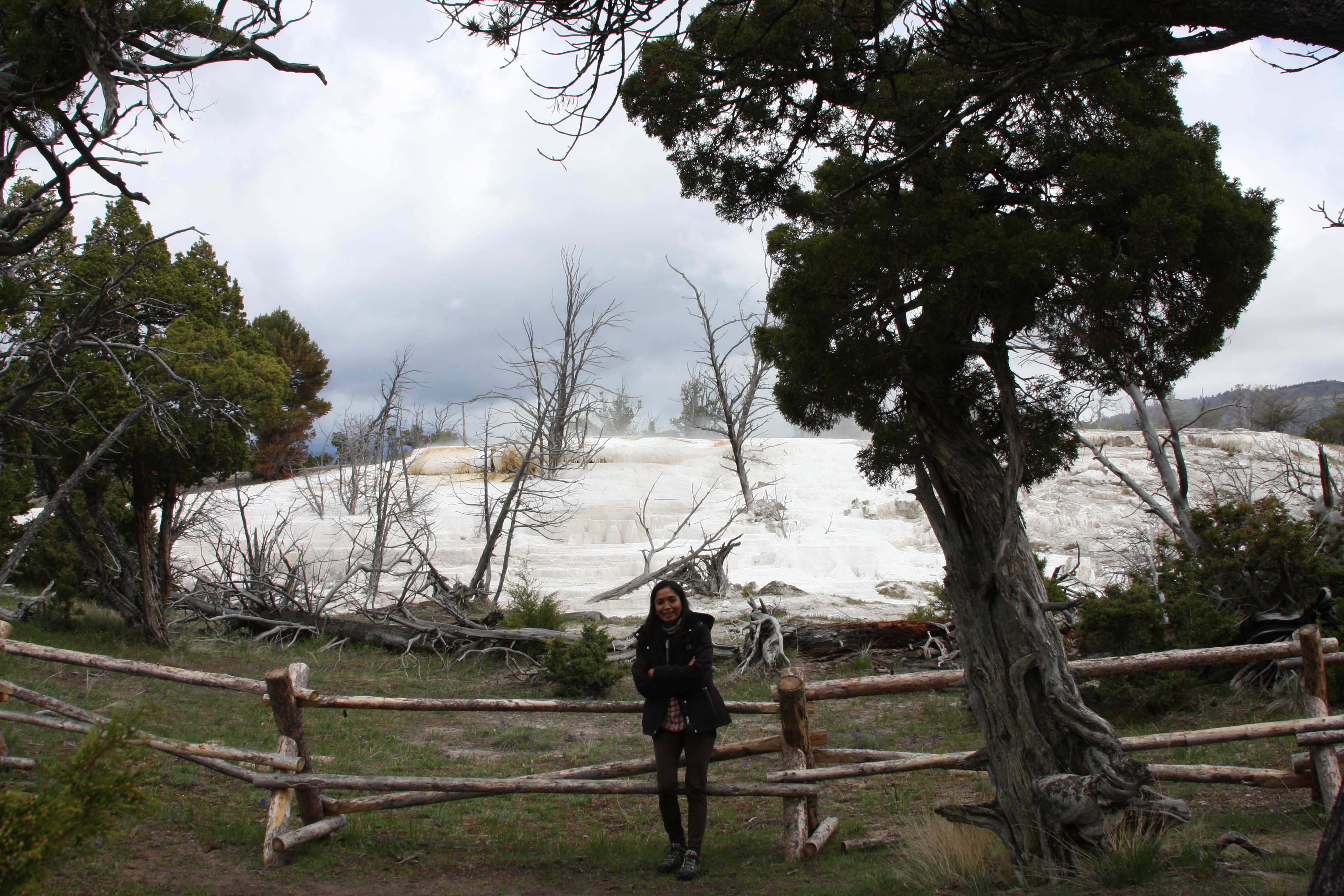 Teton, Yellowstone, May 2013 192
