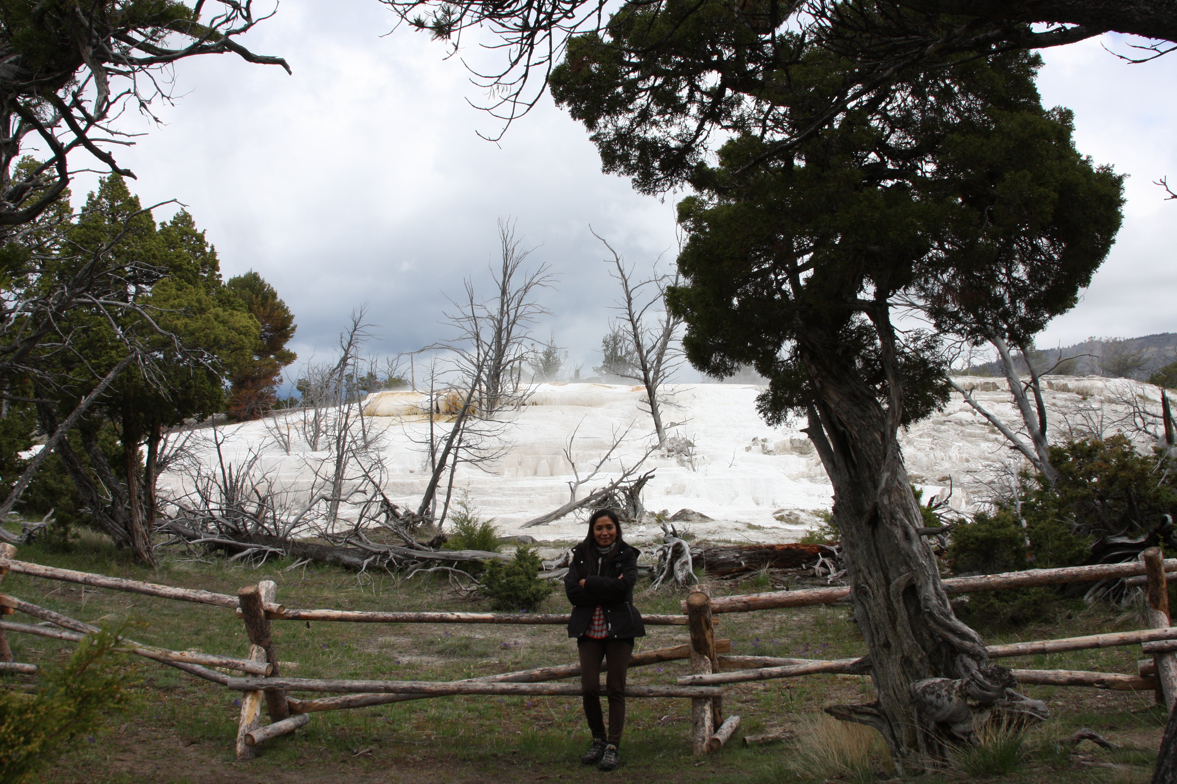 Teton, Yellowstone, May 2013 193