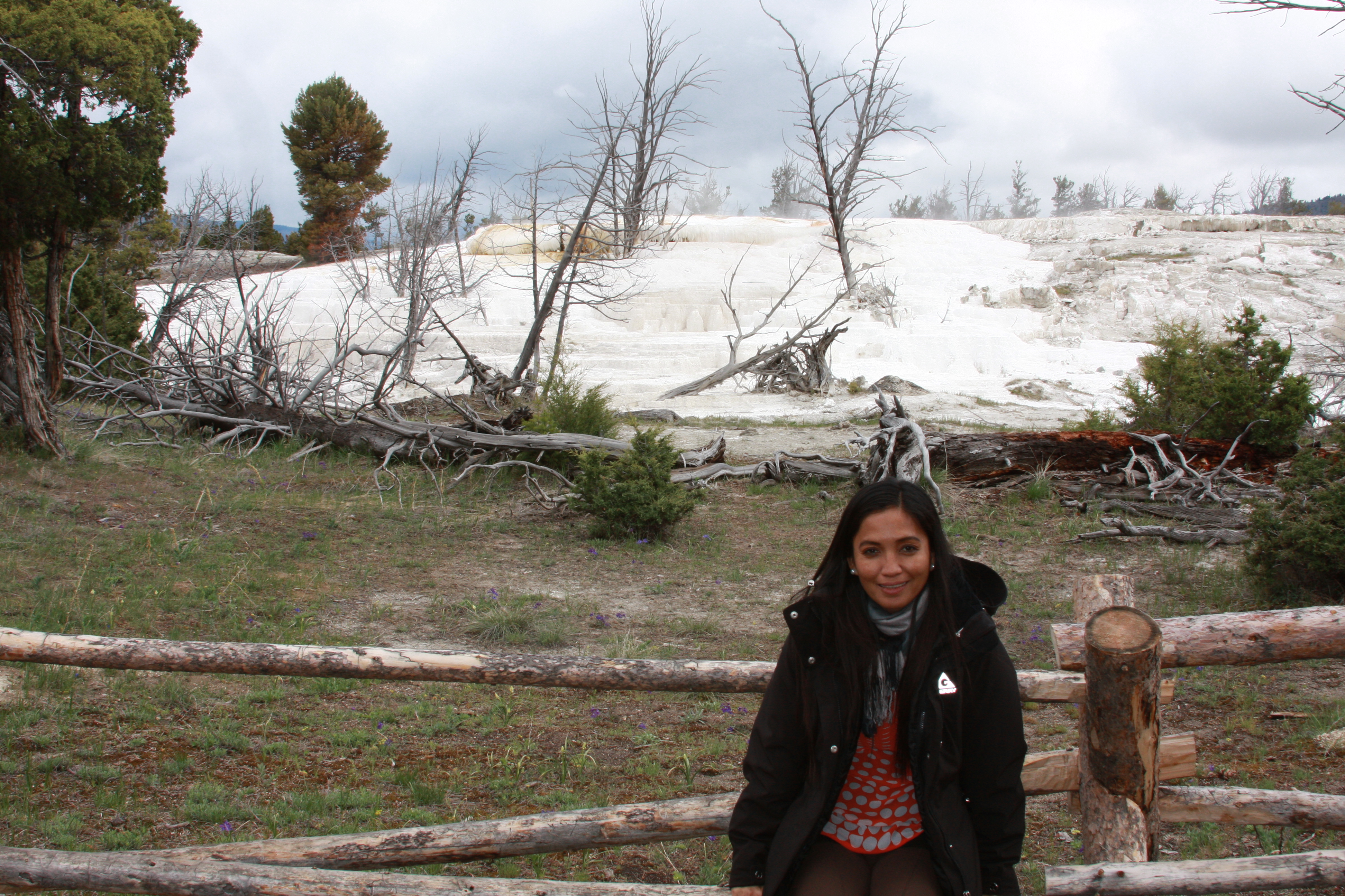 Teton, Yellowstone, May 2013 195
