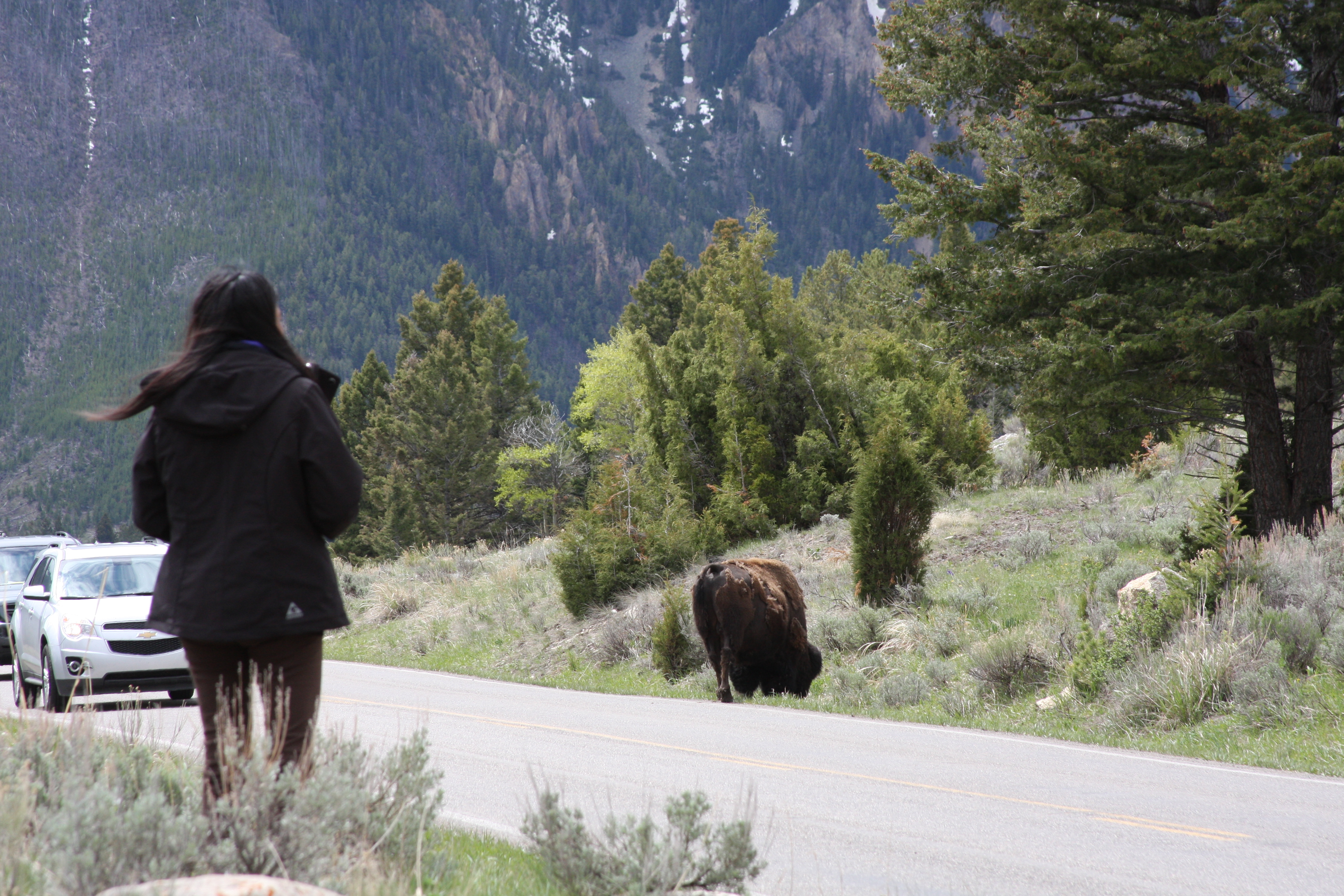 Teton, Yellowstone, May 2013 196