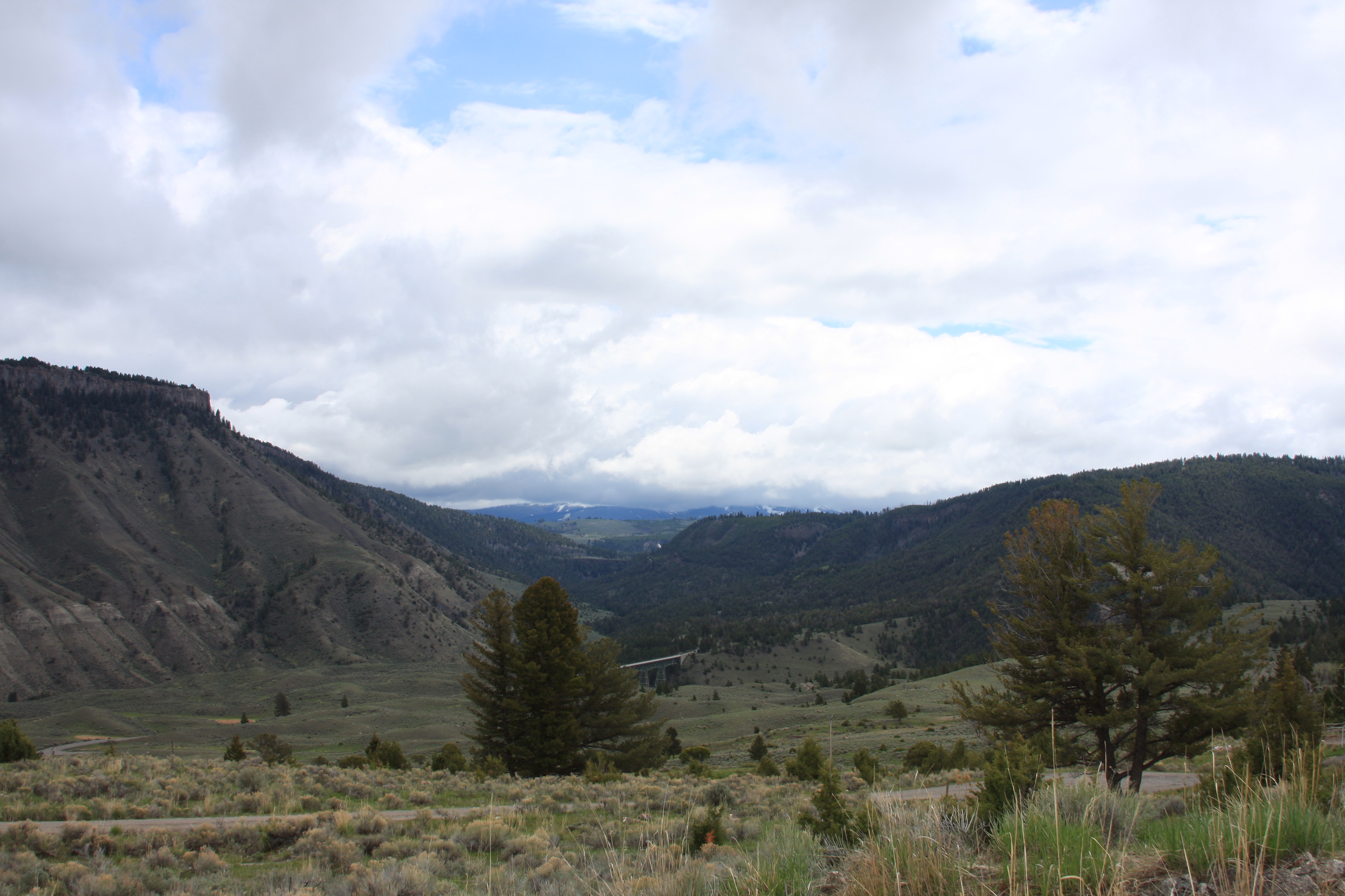 Teton, Yellowstone, May 2013 197