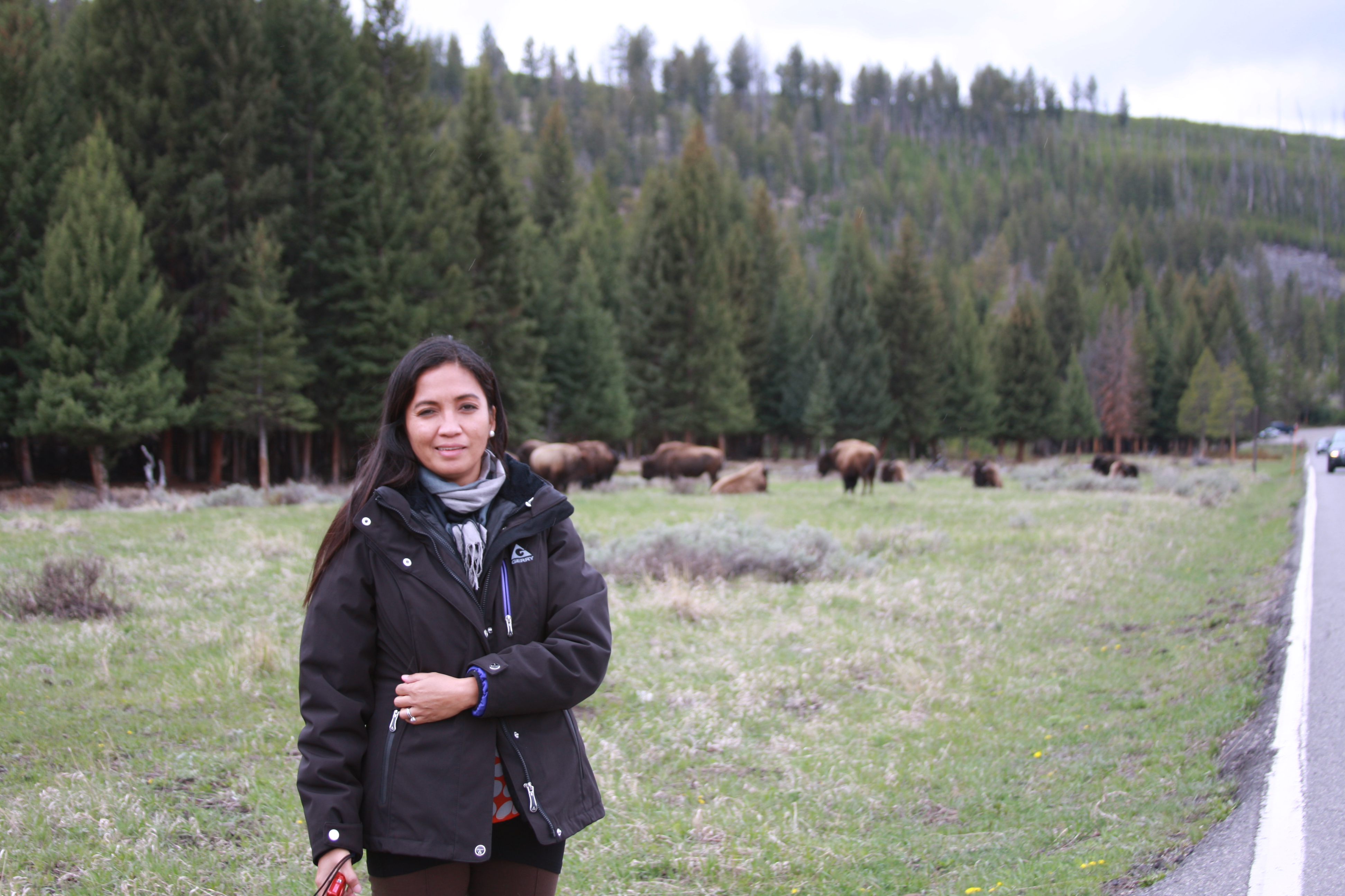 Teton, Yellowstone, May 2013 209