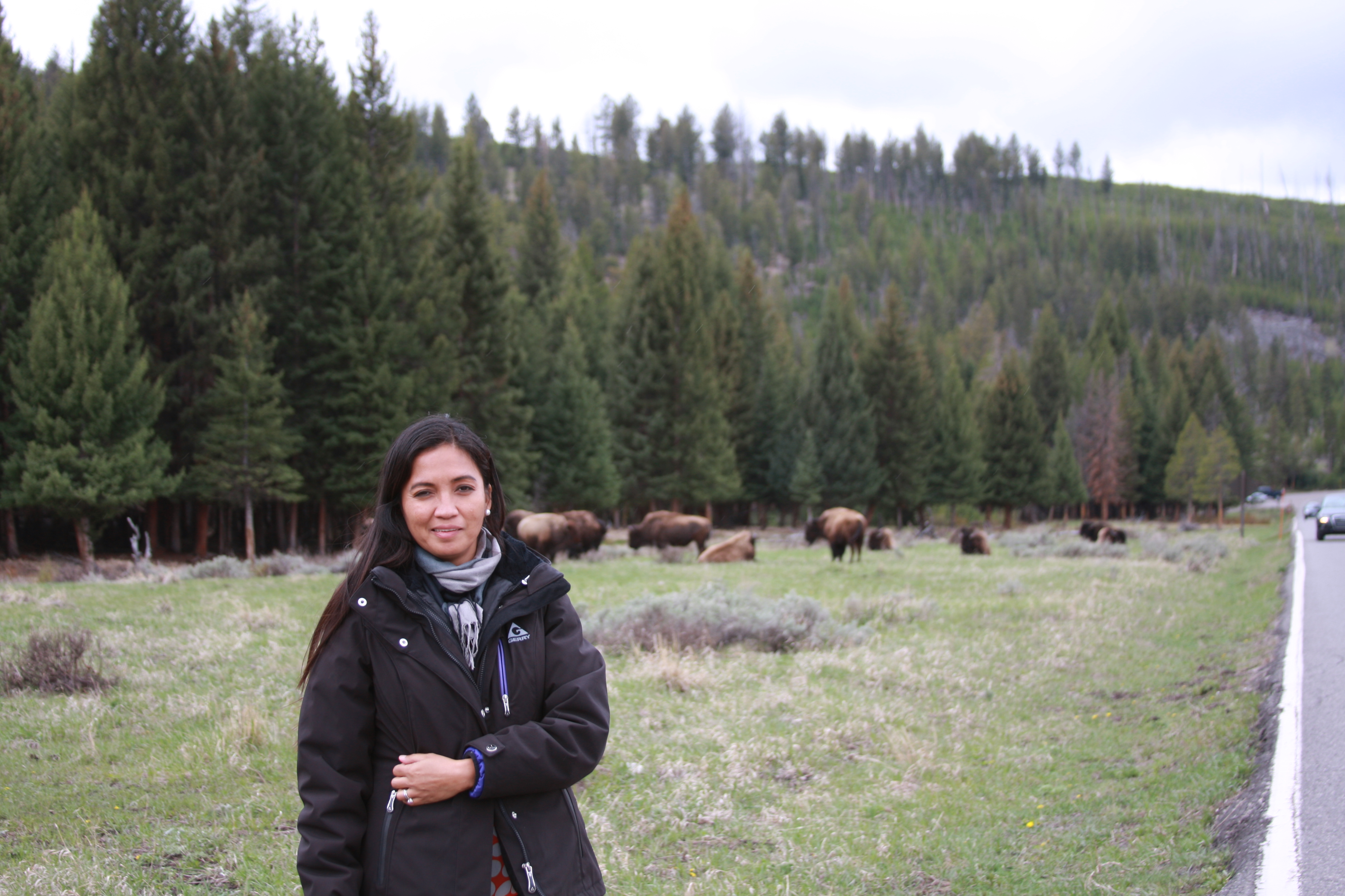 Teton, Yellowstone, May 2013 210
