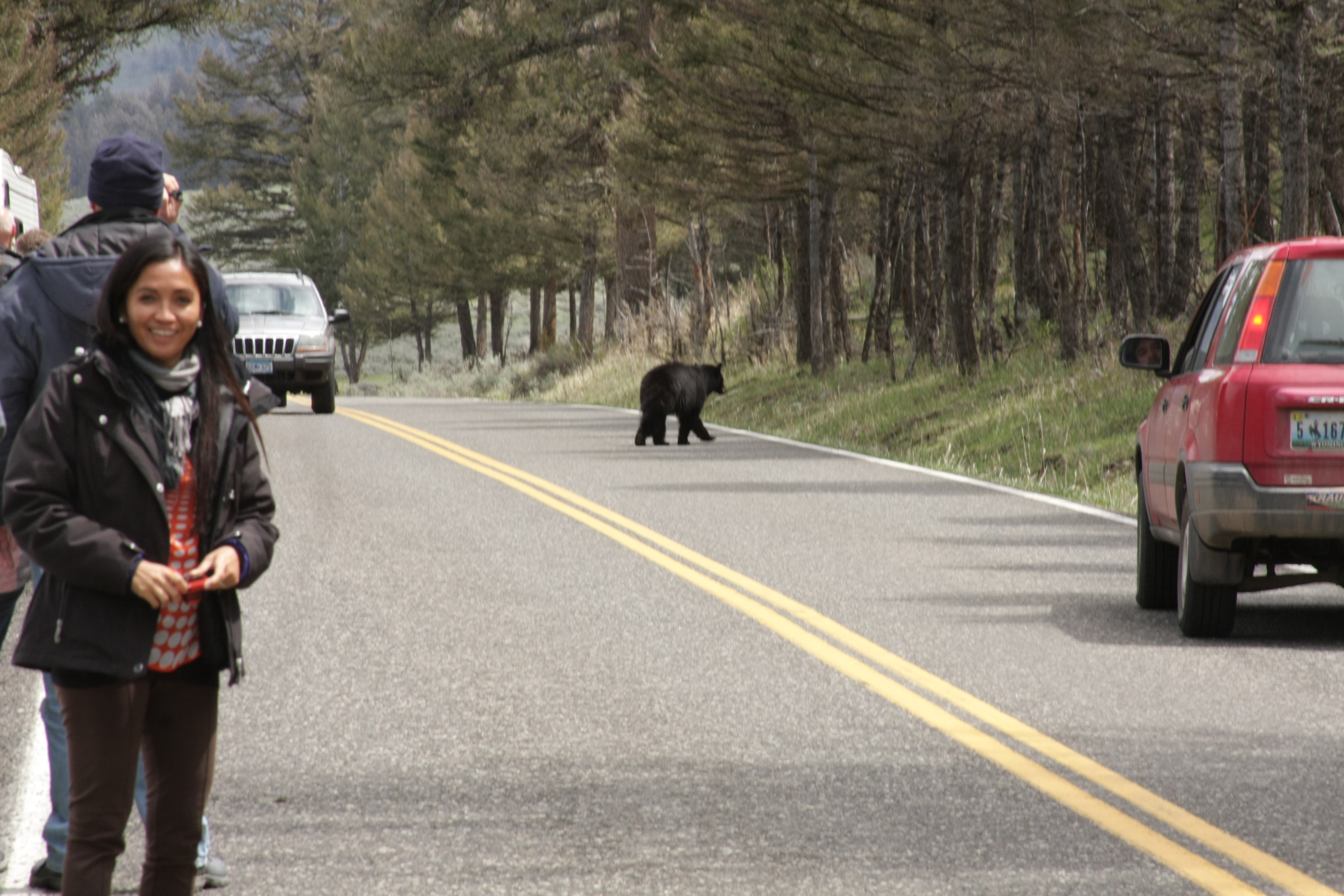 Teton, Yellowstone, May 2013 230