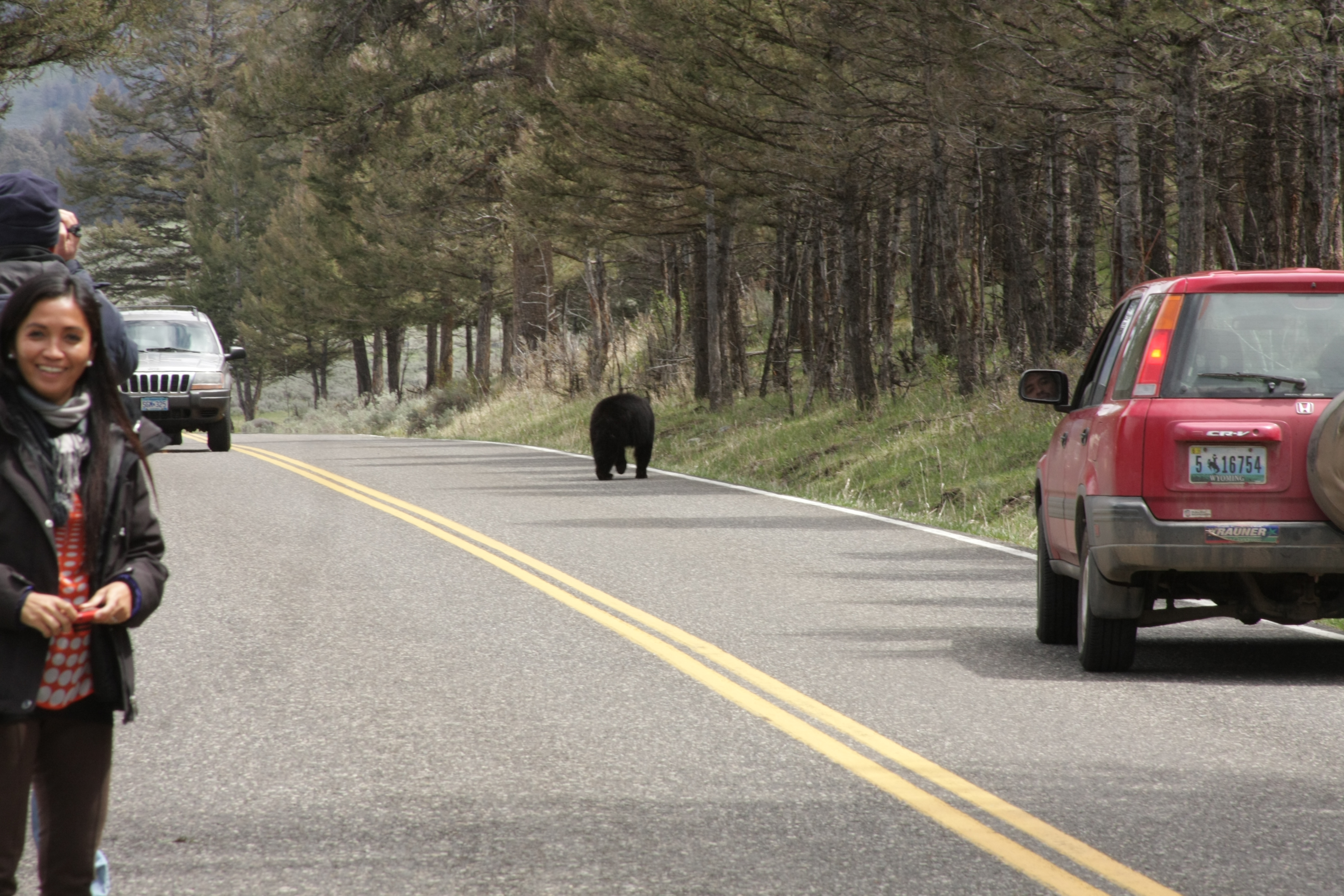 Teton, Yellowstone, May 2013 231