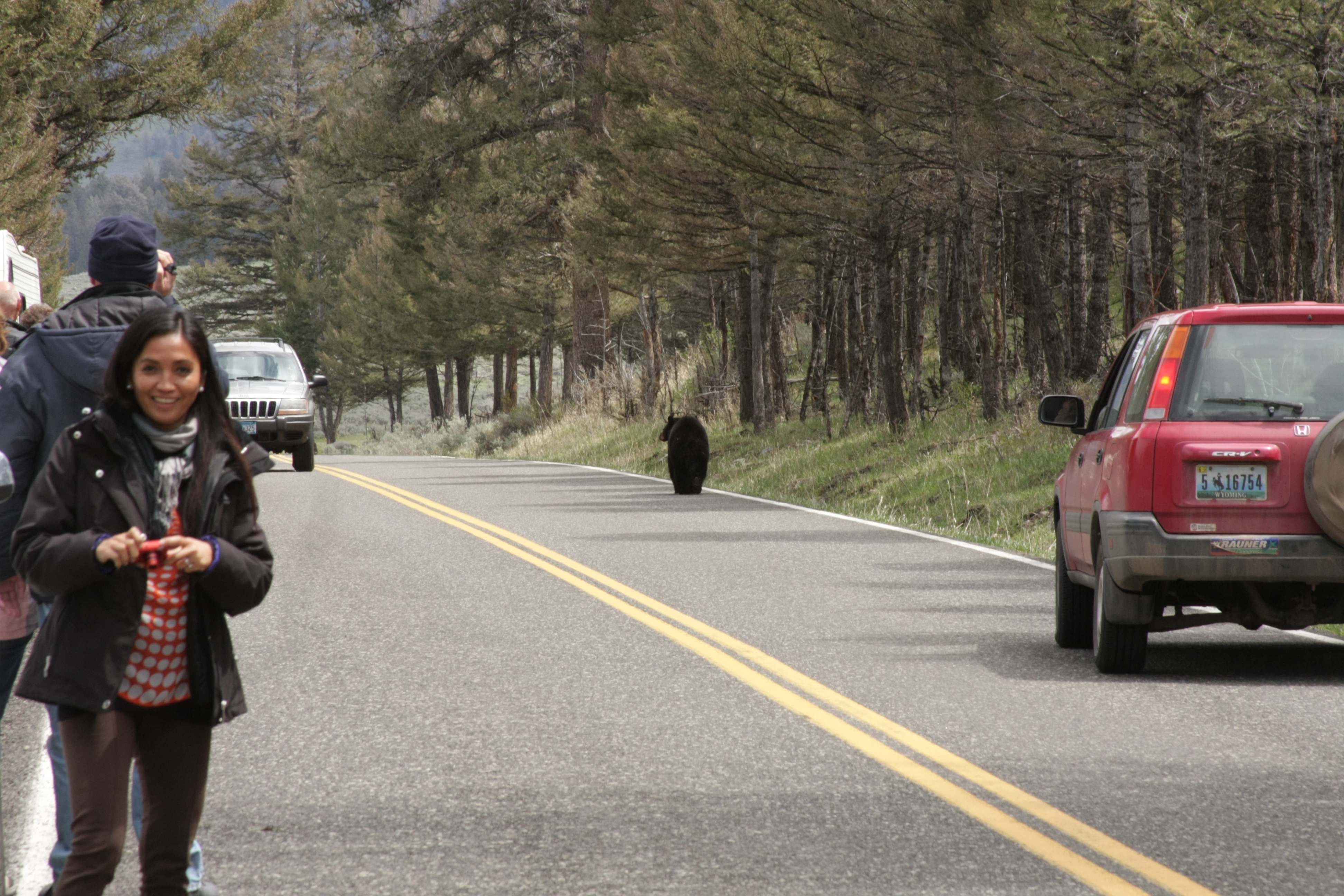 Teton, Yellowstone, May 2013 232