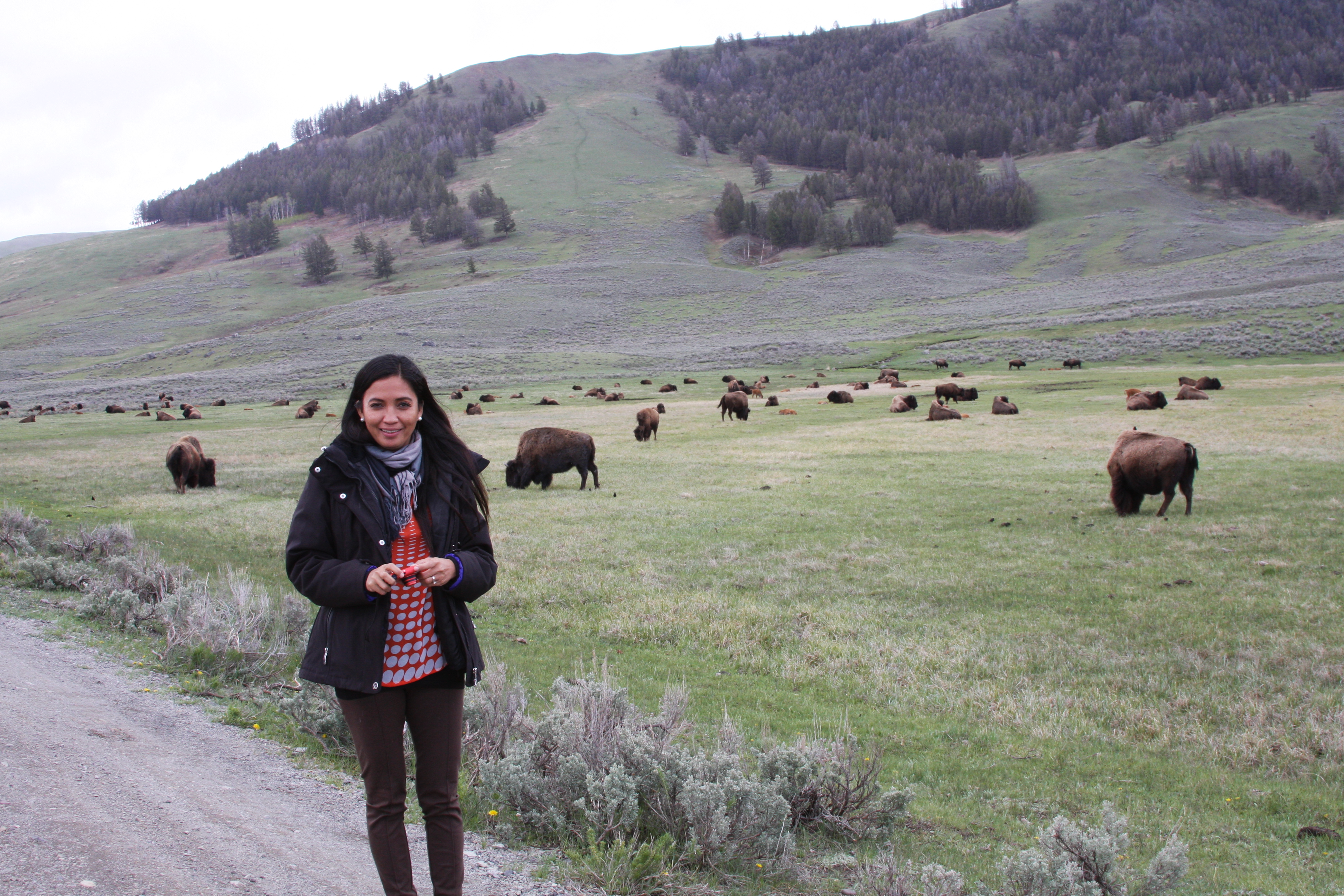 Teton, Yellowstone, May 2013 246