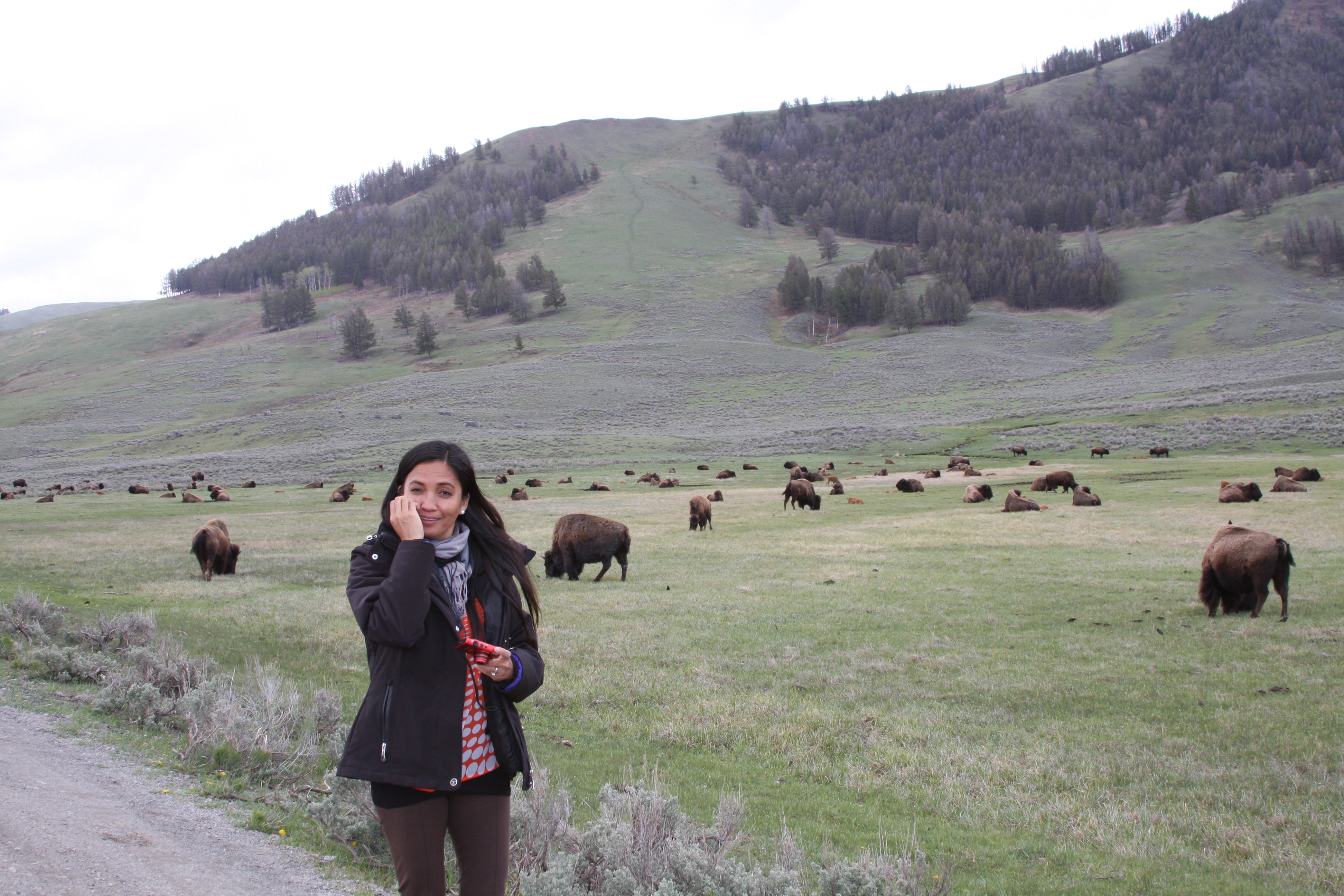 Teton, Yellowstone, May 2013 248
