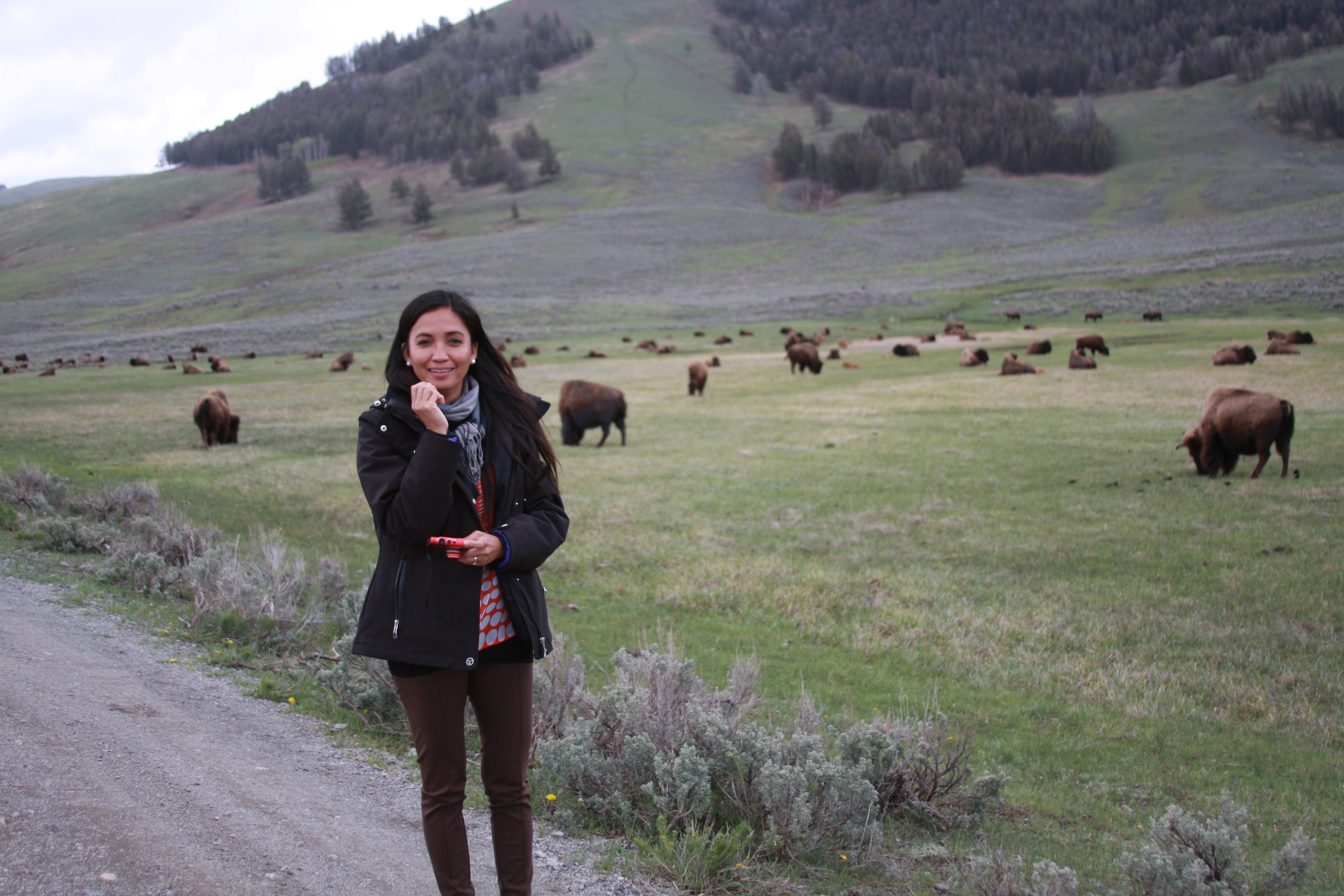 Teton, Yellowstone, May 2013 249